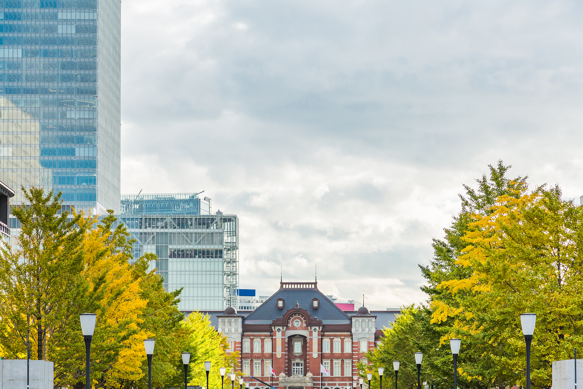 urban building group and autumn leaves trees