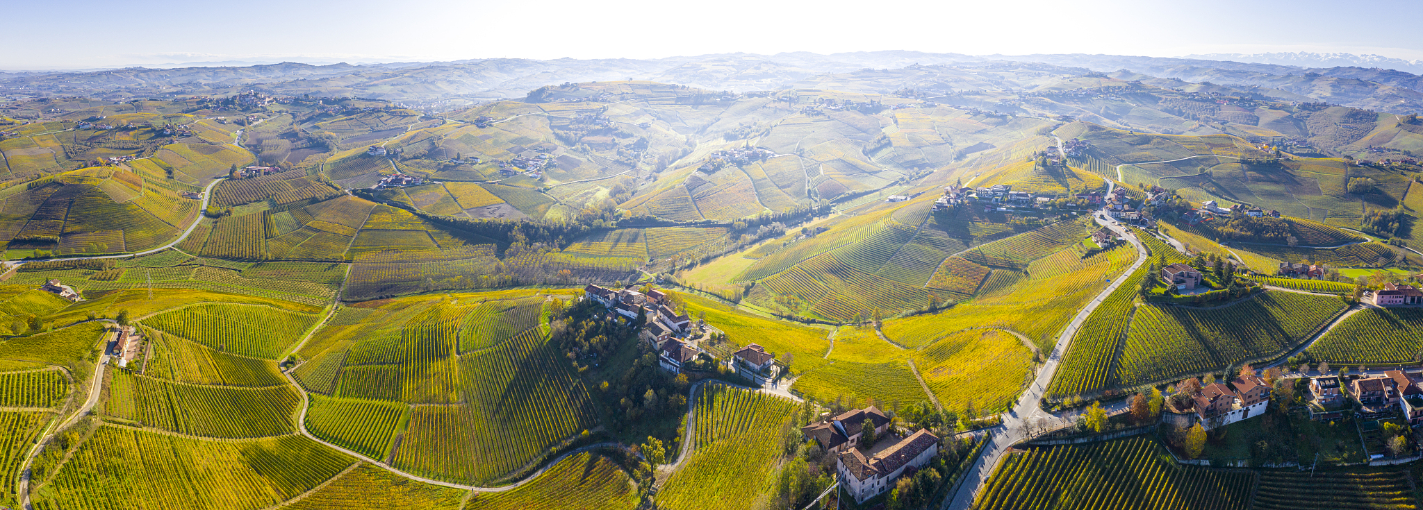 aerial view of barbaresco vineyards in autumn.