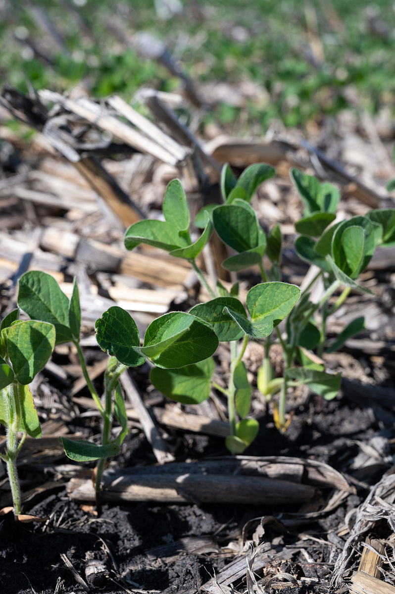 山西管理职业学院计算机应用技术专业怎么样