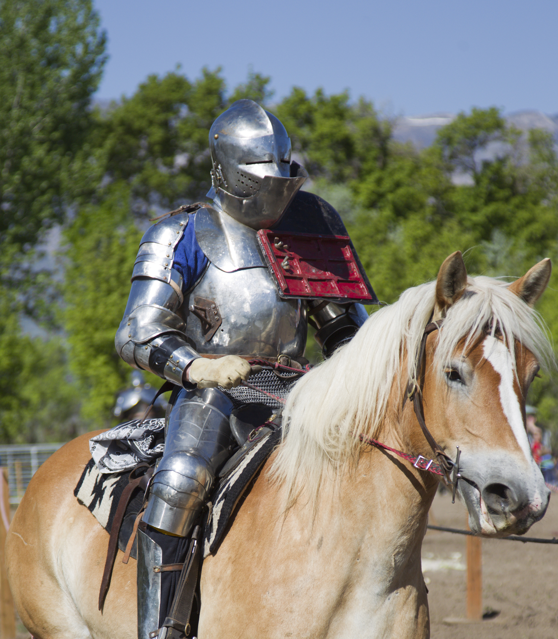 knight on horseback