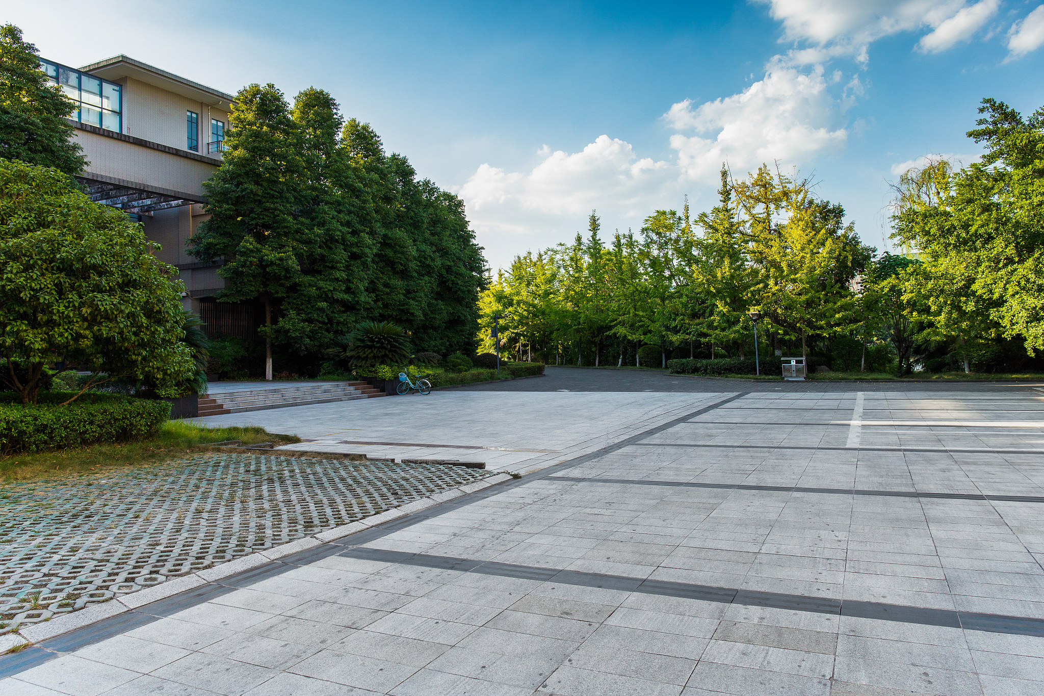 重庆2021年什么幼师学校就业好