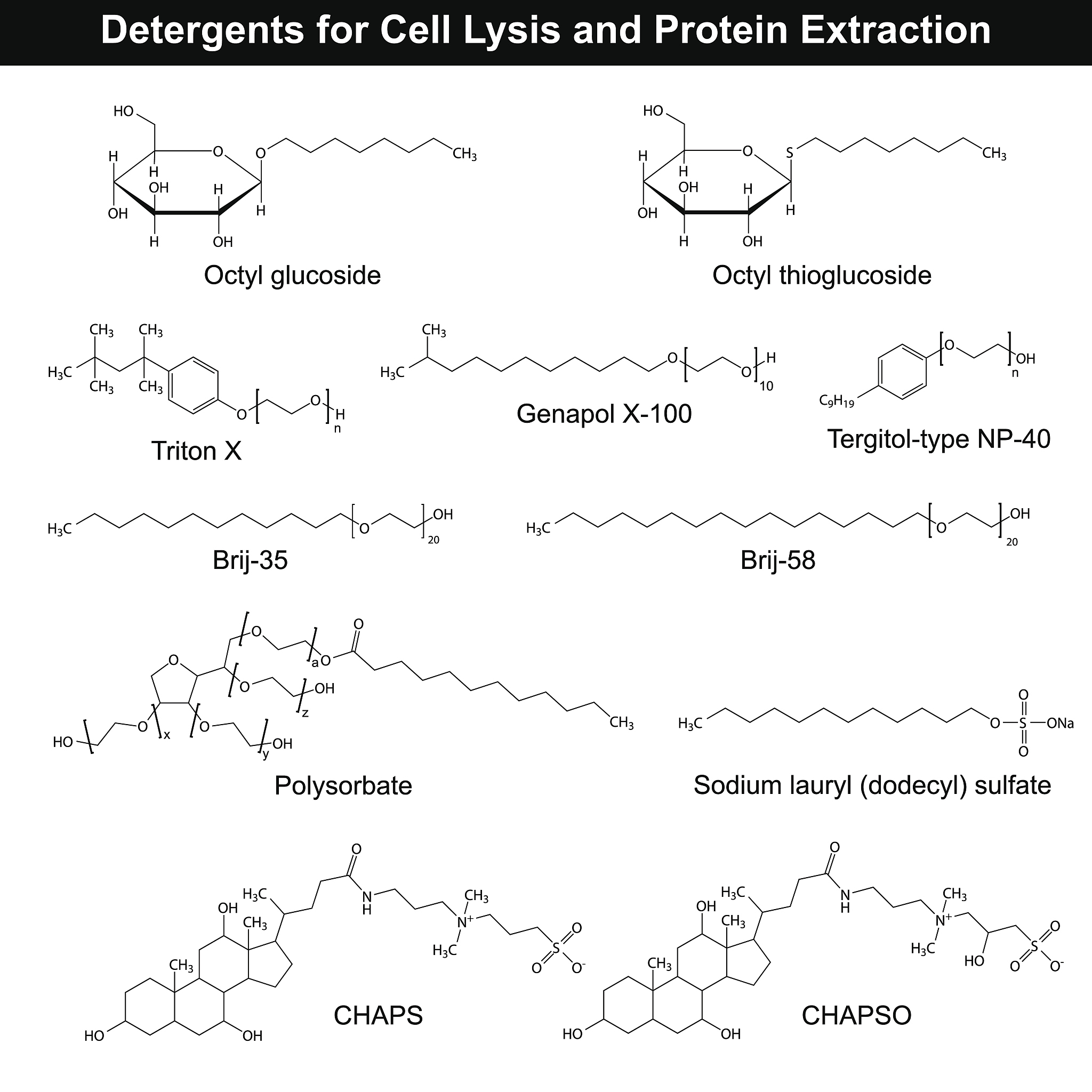 CELL AND BIOSCIENCE: 开放获取的生物科学期刊