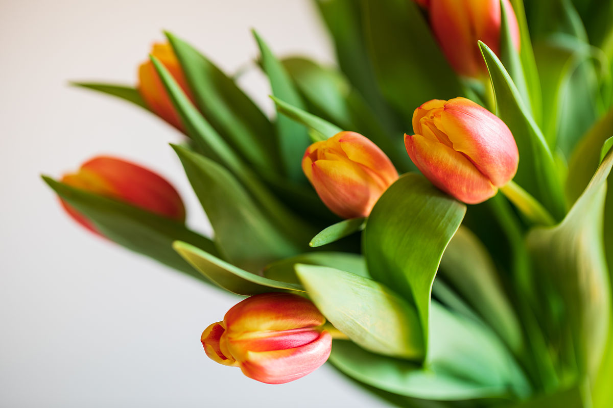 分析创勋公司的存货管理相关制度，写成一段话形式，不少于1000字。