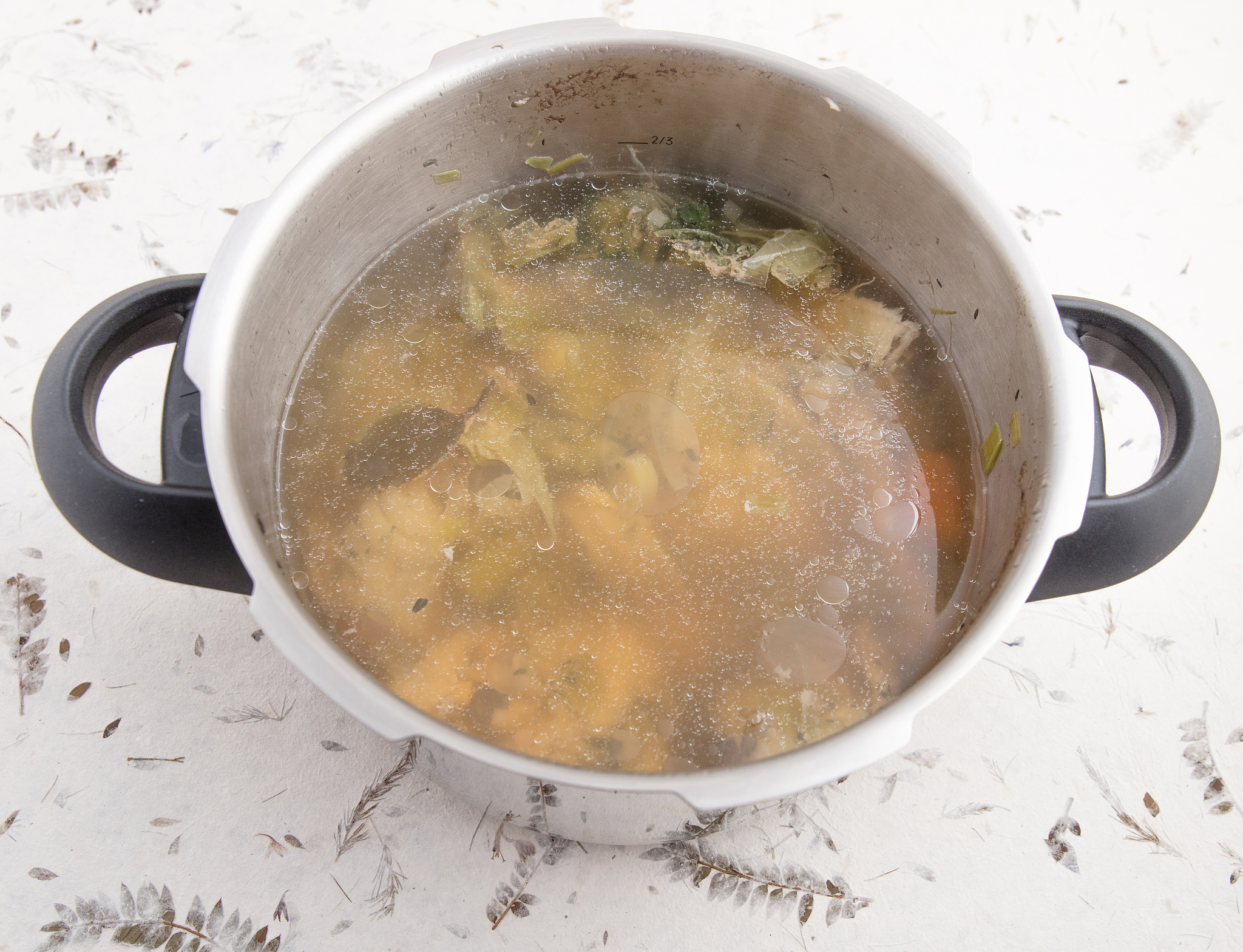 pressure-cooked fish broth.
