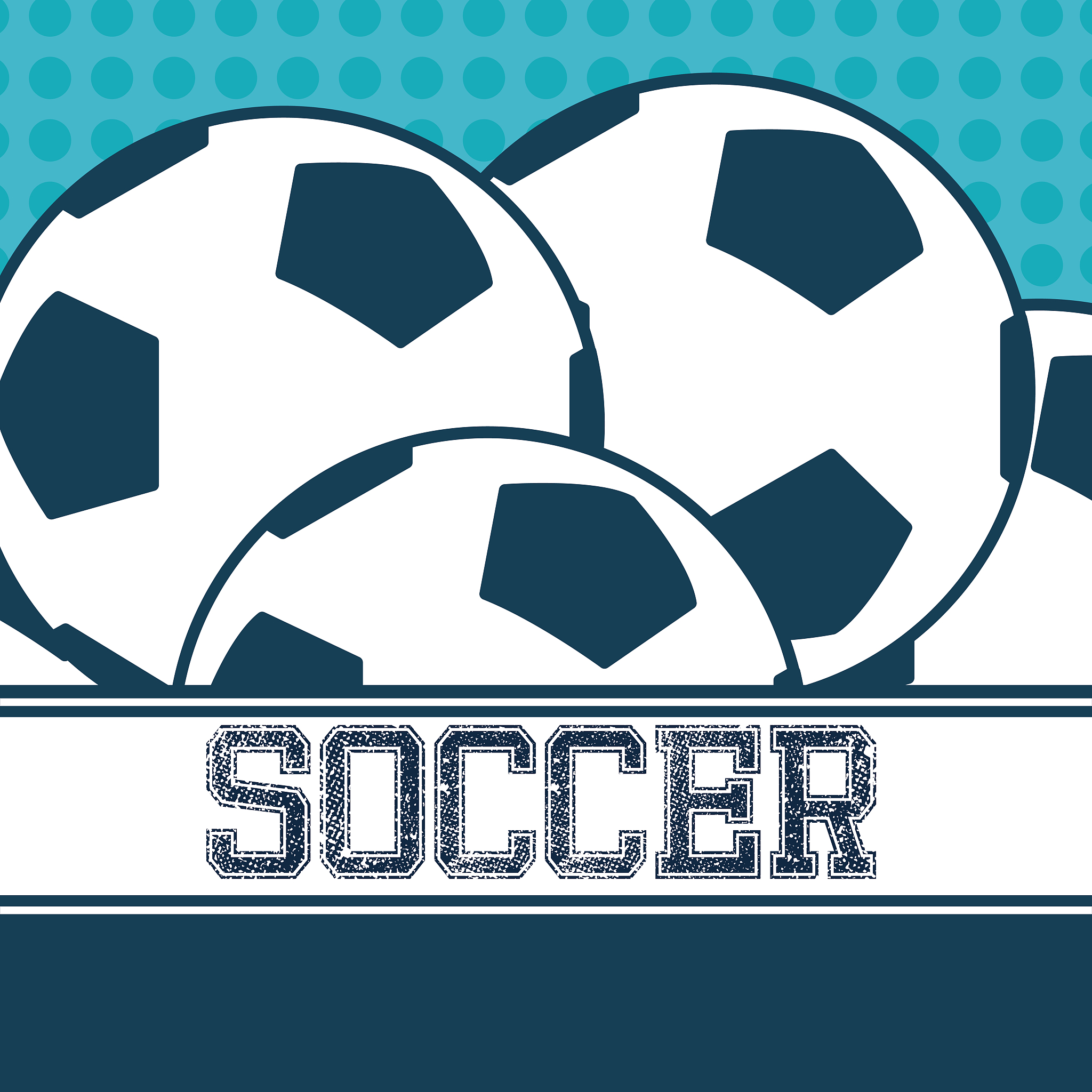 sport soccer balls