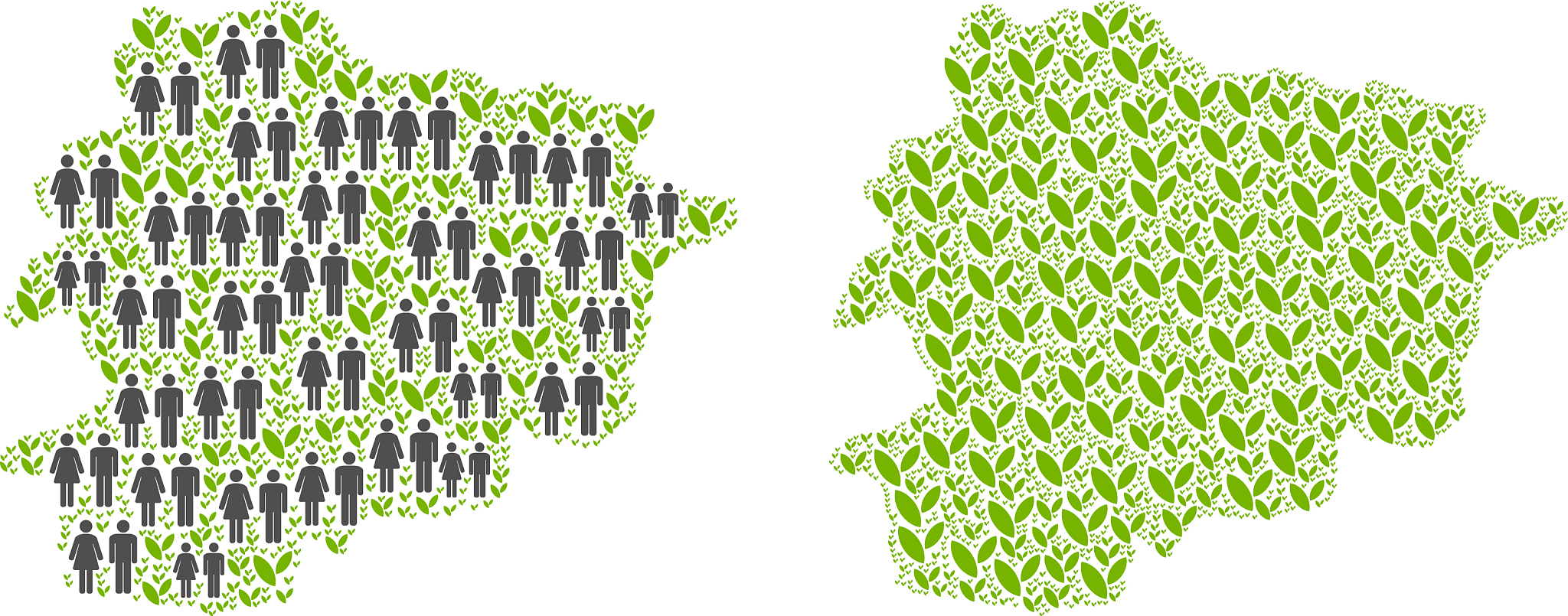 主要种植区面积稳定，区域分布集中