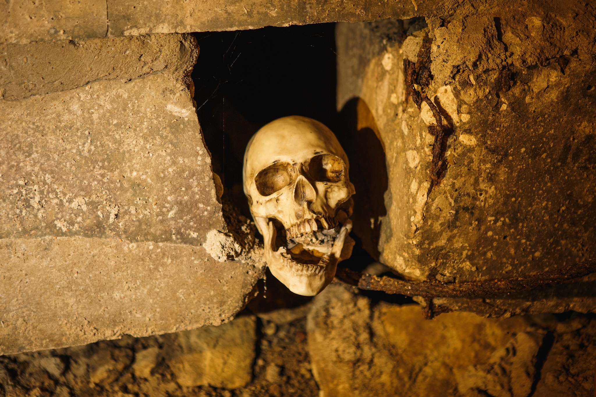 the skull in the dark basement is illuminated by harsh light.