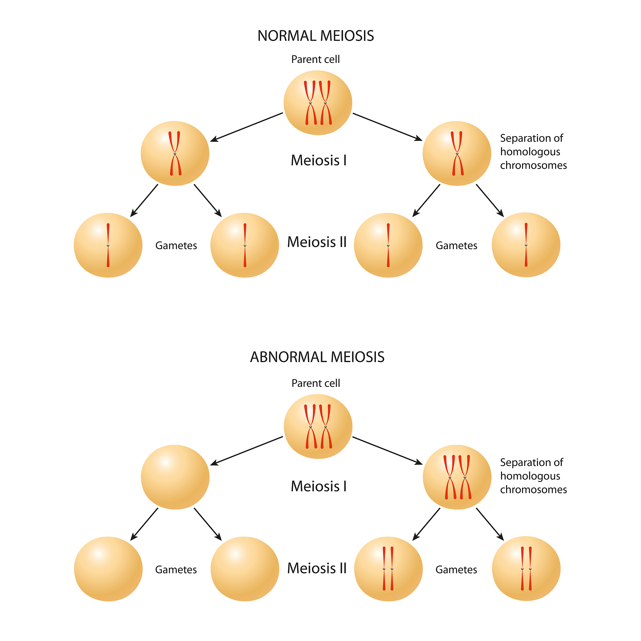 数据库模式分解 - 函数依赖集解析及填空题