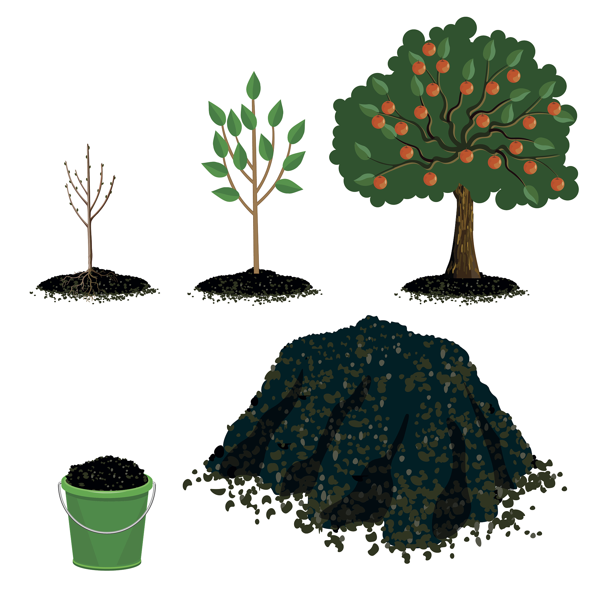 瘰疬分枝杆菌检测：难度、方法和时机