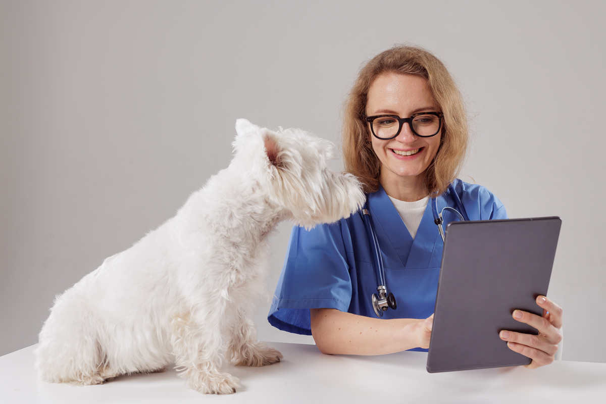 宠物行为调整软件：谁是目标客户？