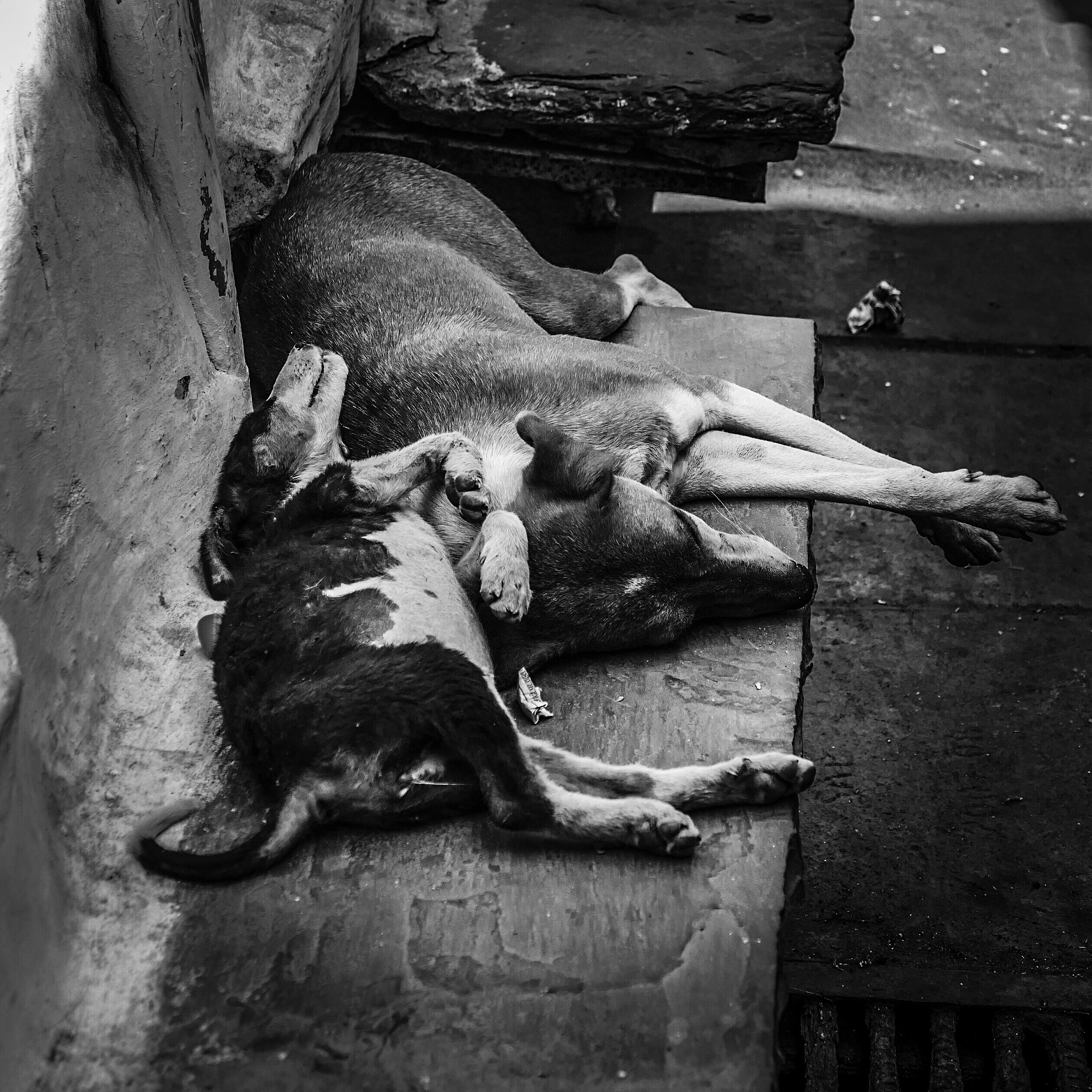 是哪个男性依靠乐观在奥斯维辛活下来