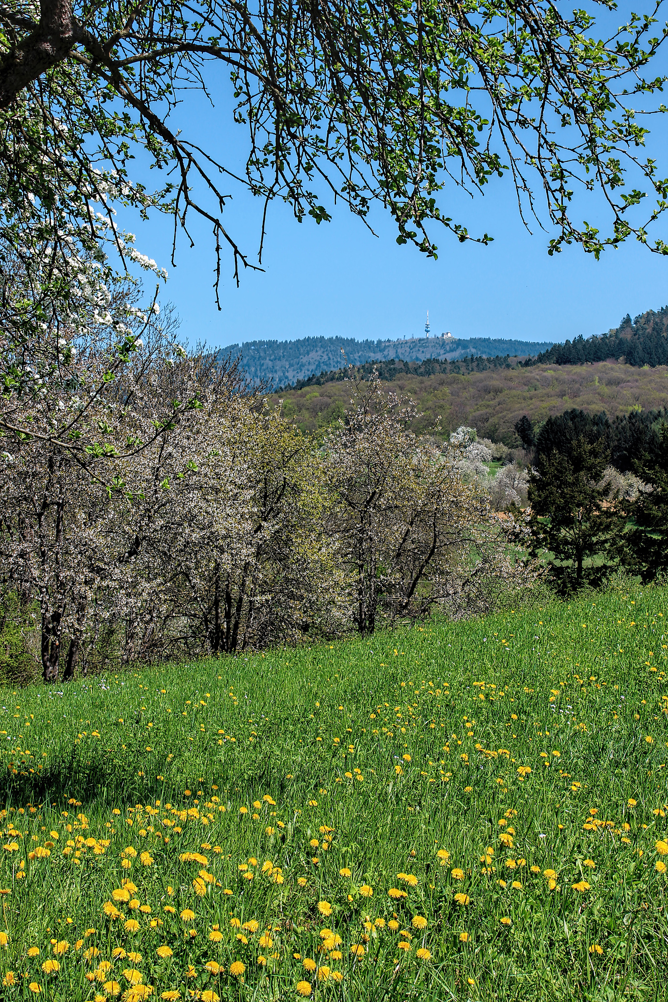 风和日丽的日子 吟诗一首