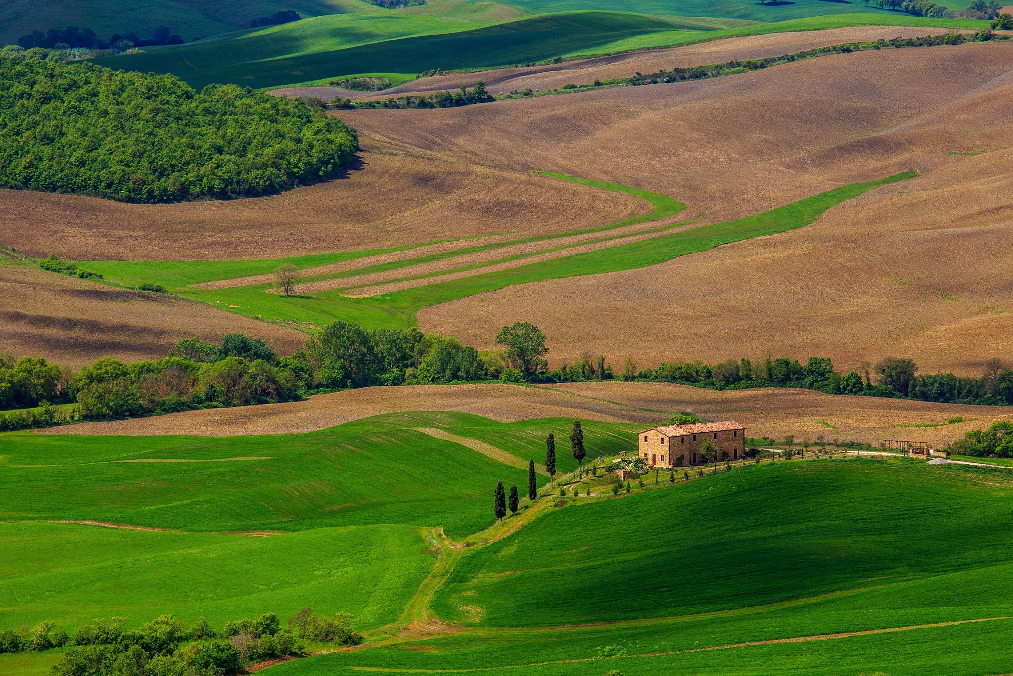 scenic view of rural landscape