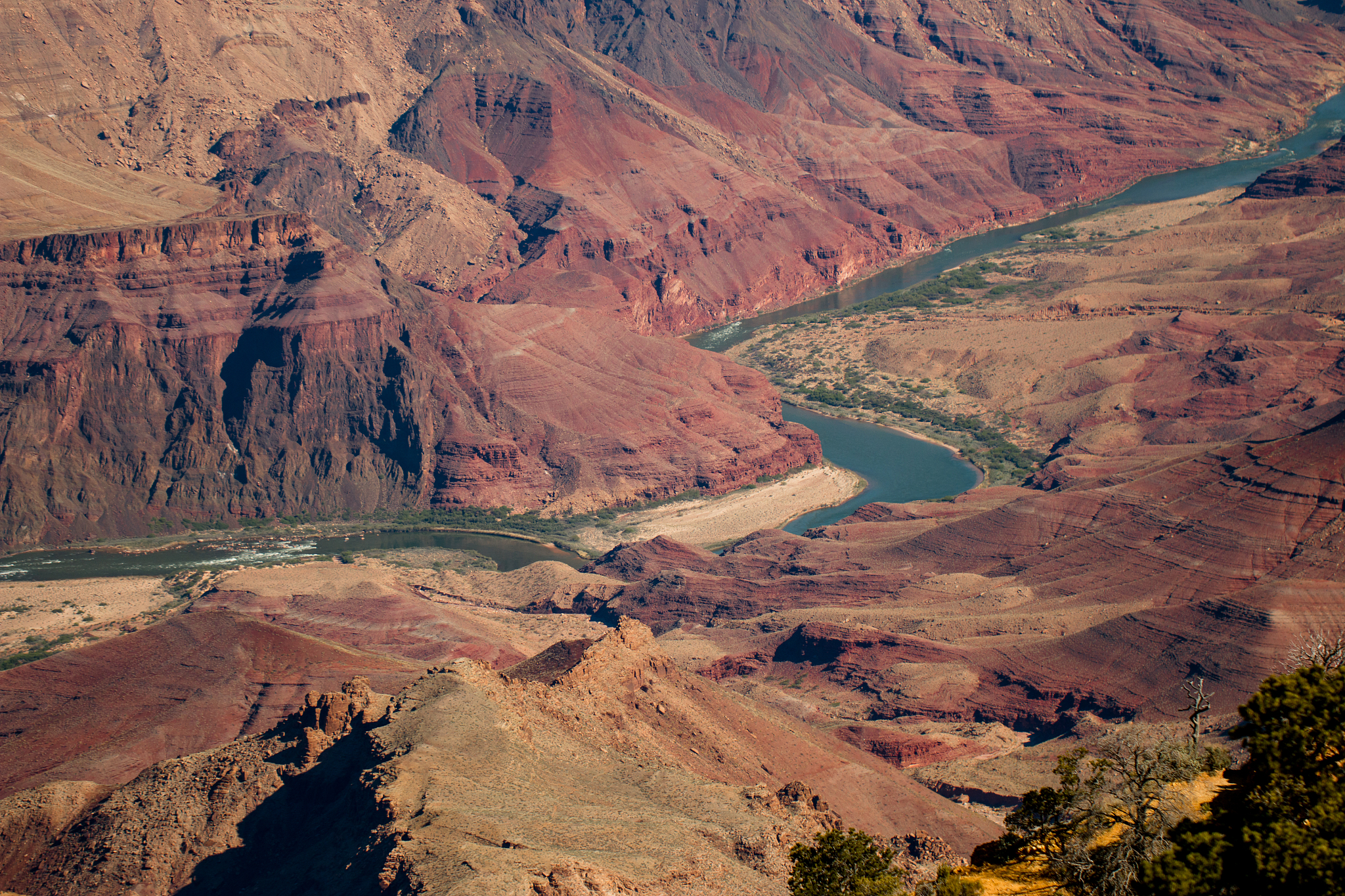 nature image
