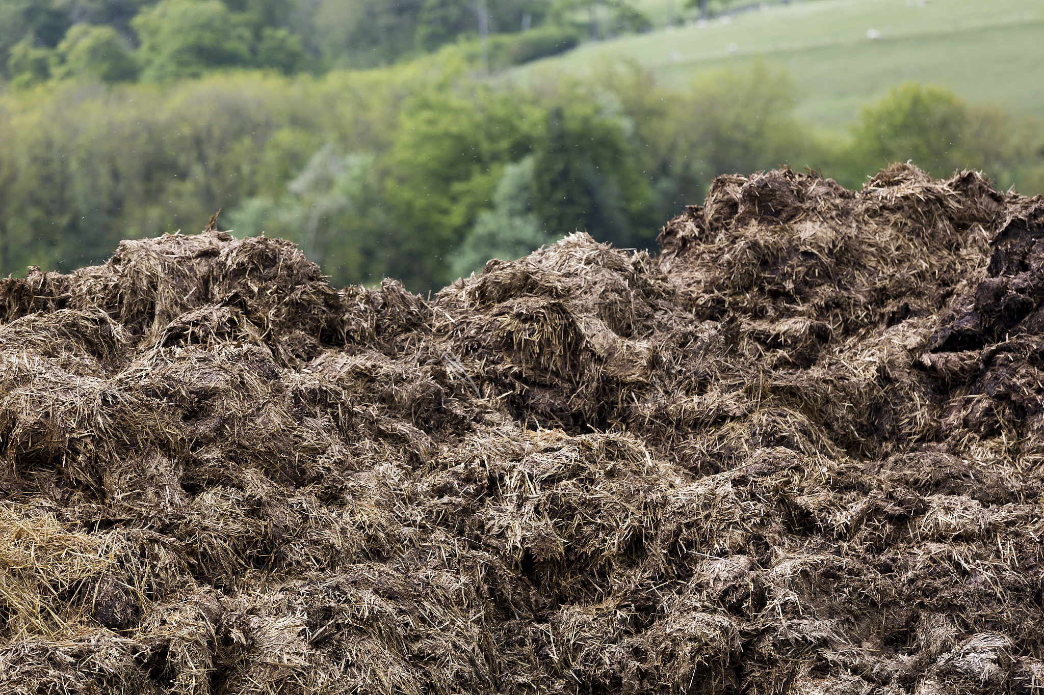 下午的体验真是一言难尽我不得不吐槽是真的臭啊去车间一线堆肥了说的详细点就是铲粪把牛粪的烟灰混合在一起反复搅动按一定比例混合均匀。扩写