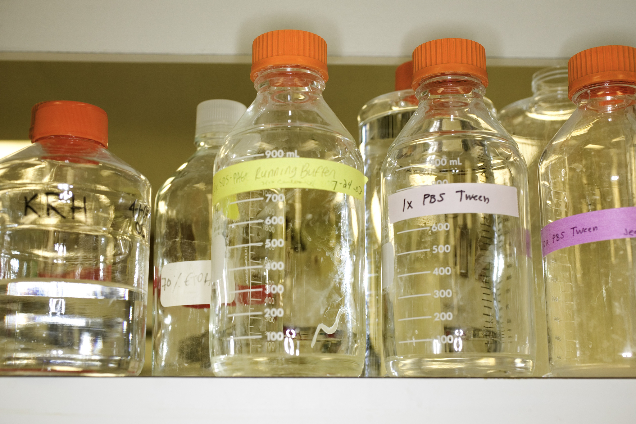 树苗组培液完整配方及制作过程和详细的计量成分请全部用中文标注