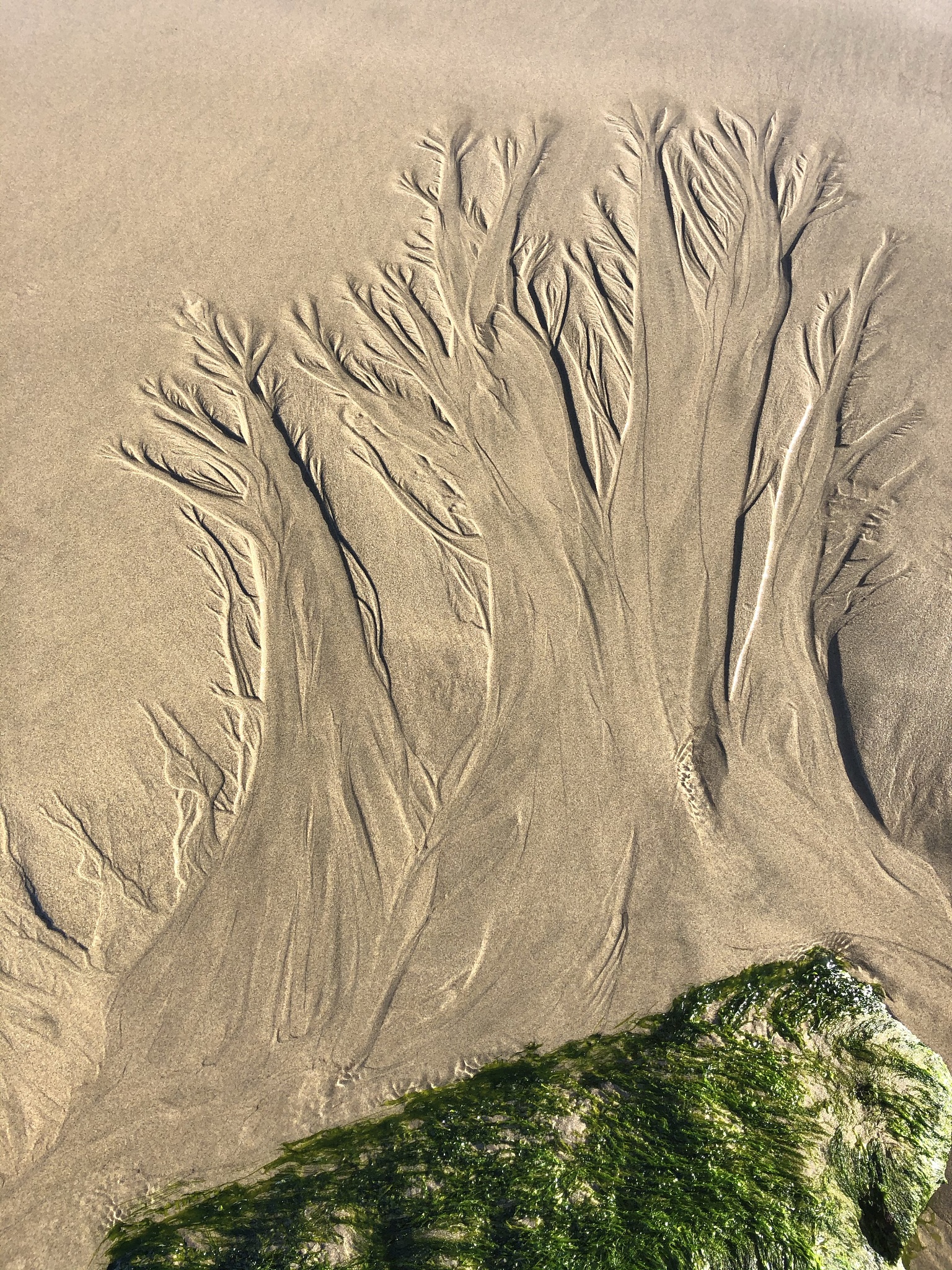 沙雕微信昵称大放送！搞笑男生昵称大全