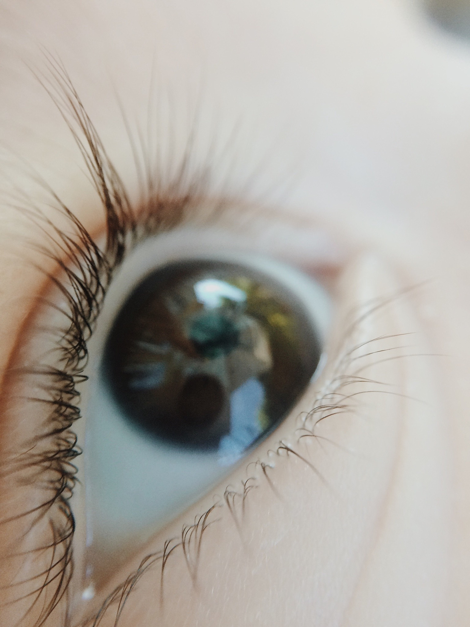 close-up of baby boy eye