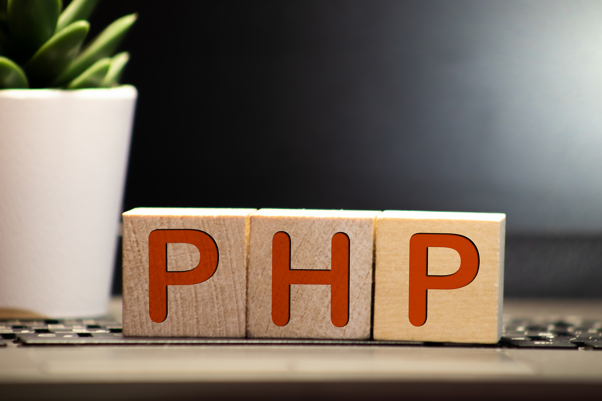 贴贴是什么意思