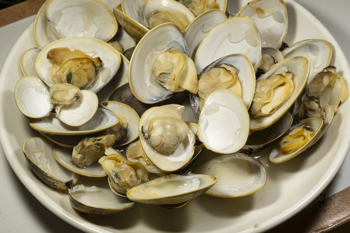 炒熟的花甲放多久？保存方法详解！