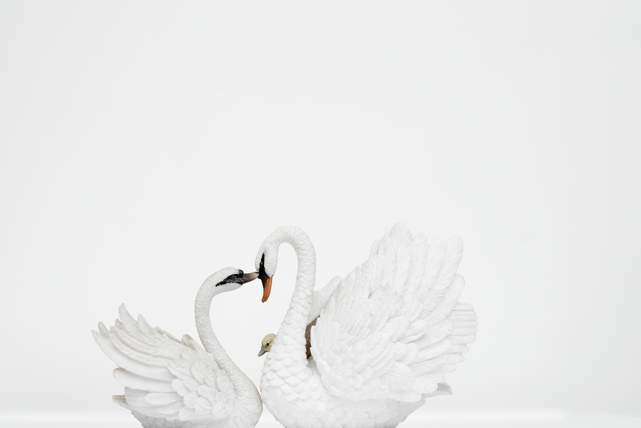 白鹅真是一个高傲的动物改为反问句