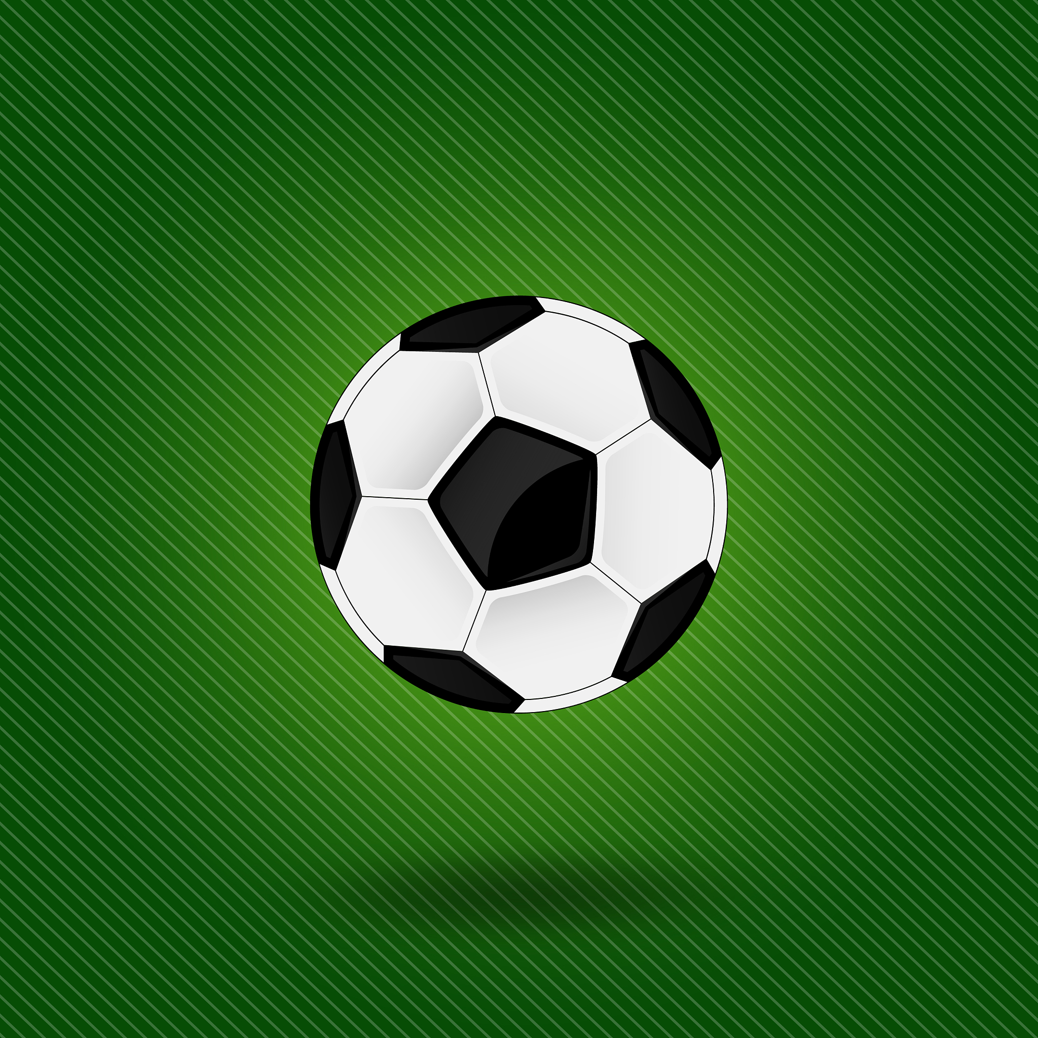a soccer ball