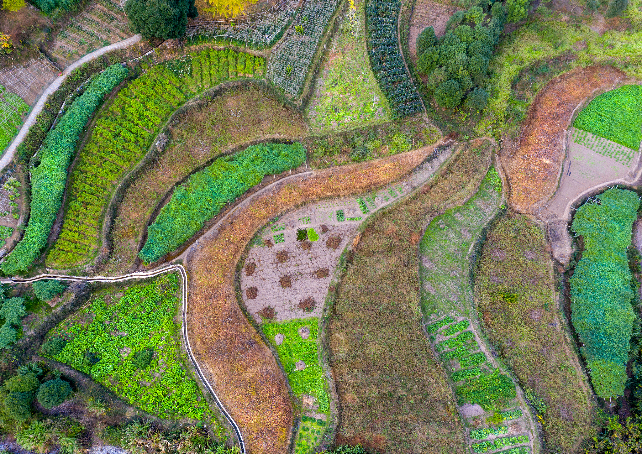 洱源产业发展潜力：旅游、农业、文化创意等