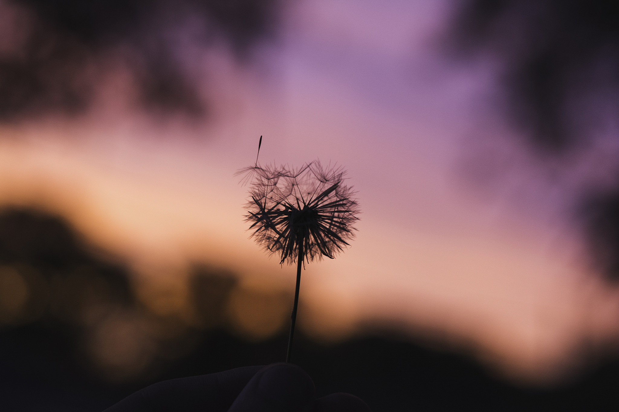 PS软件怎么分色