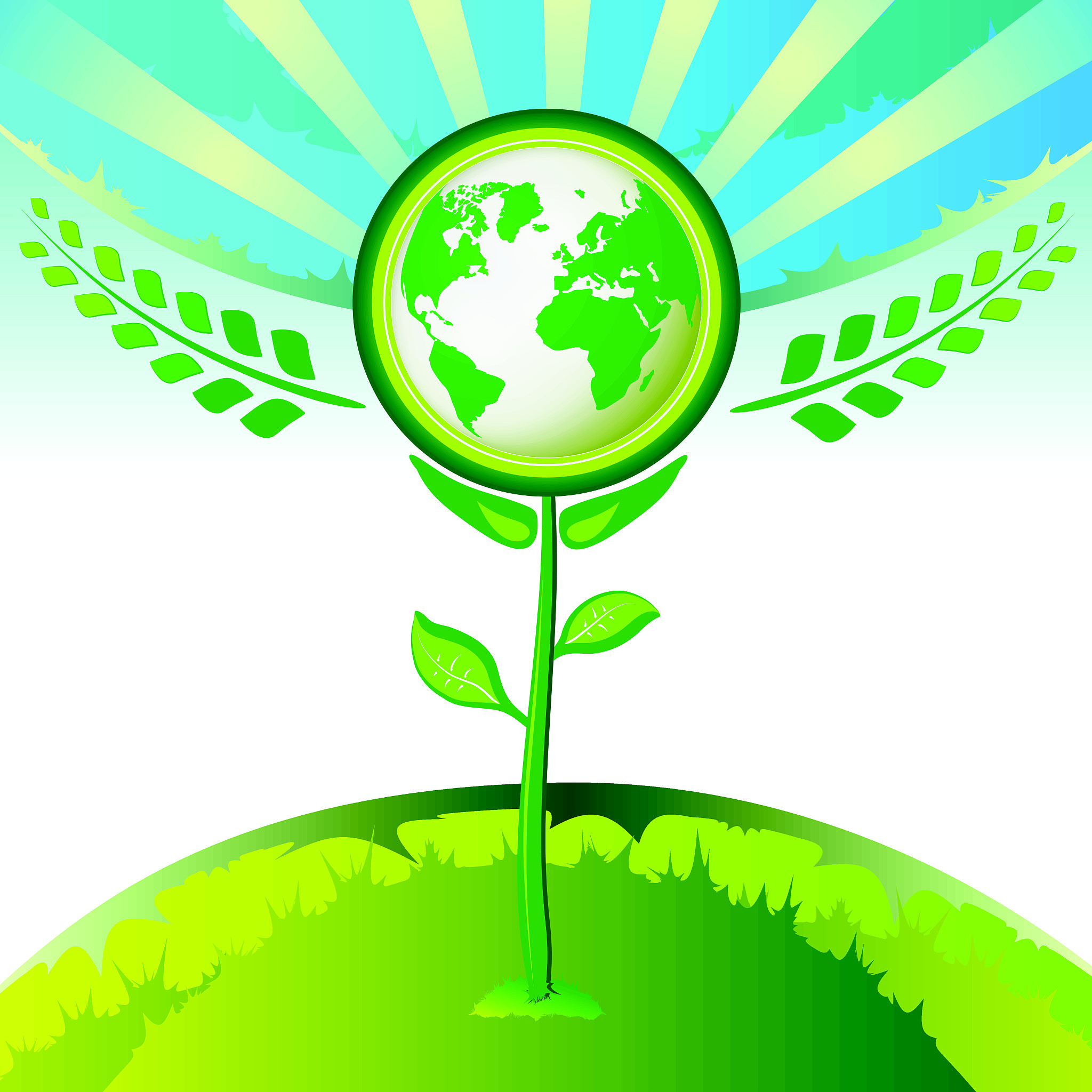 如何保护环境：每个人都能做出的贡献