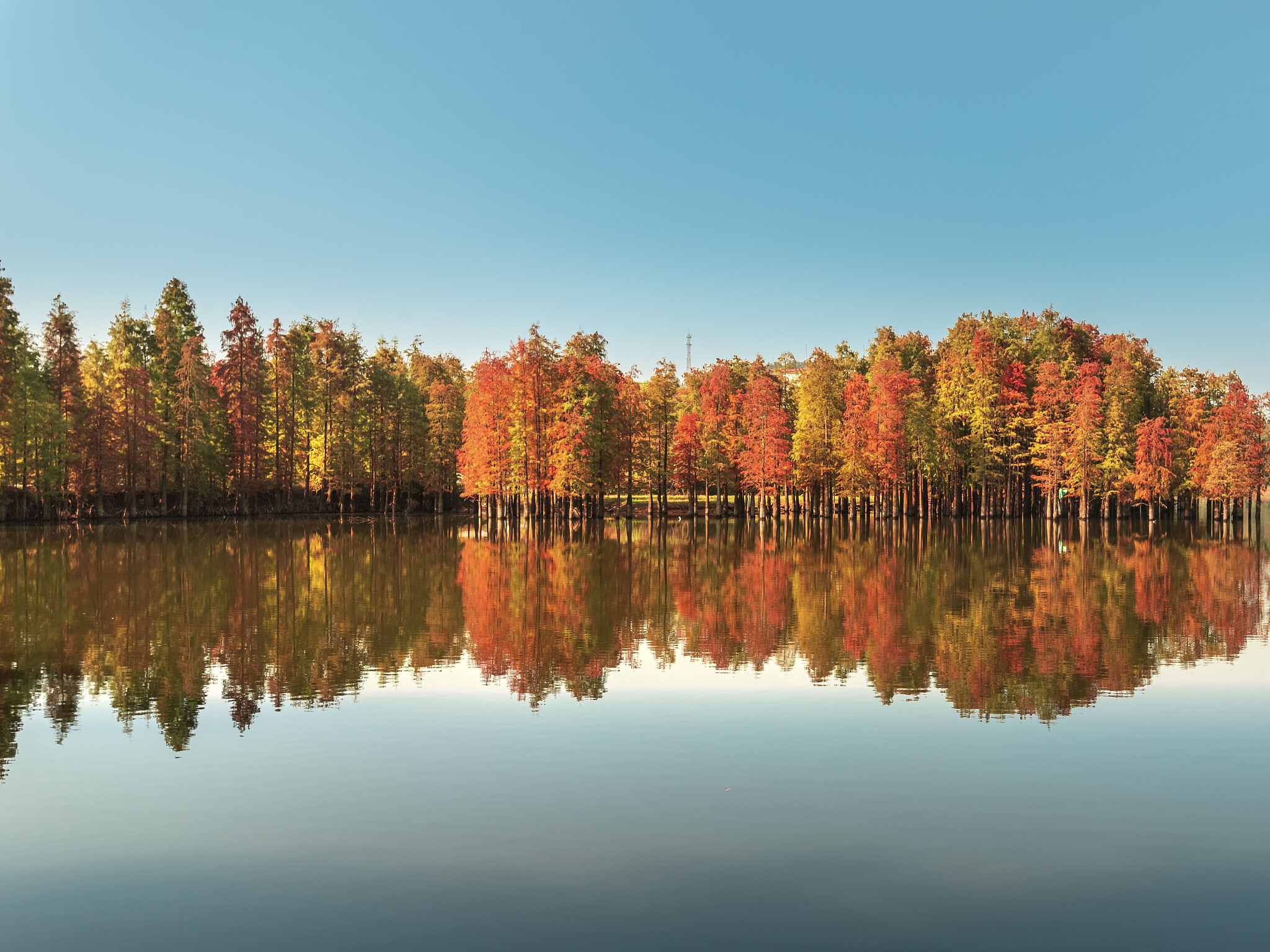 如何赞美摄影作品：令人惊叹的专业技巧和艺术感触