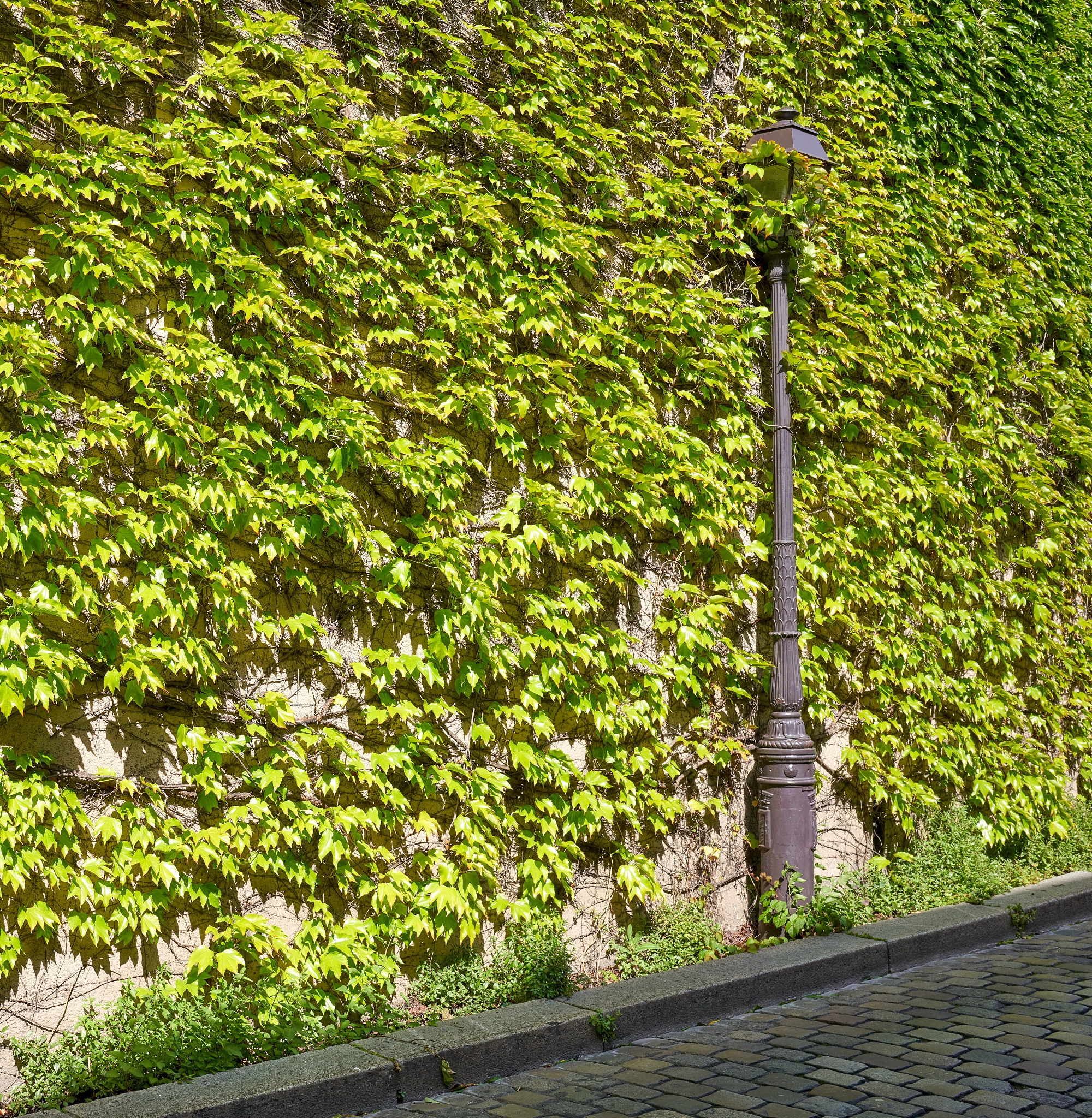 科研创新十四五整体规划的指导思想与基本原则