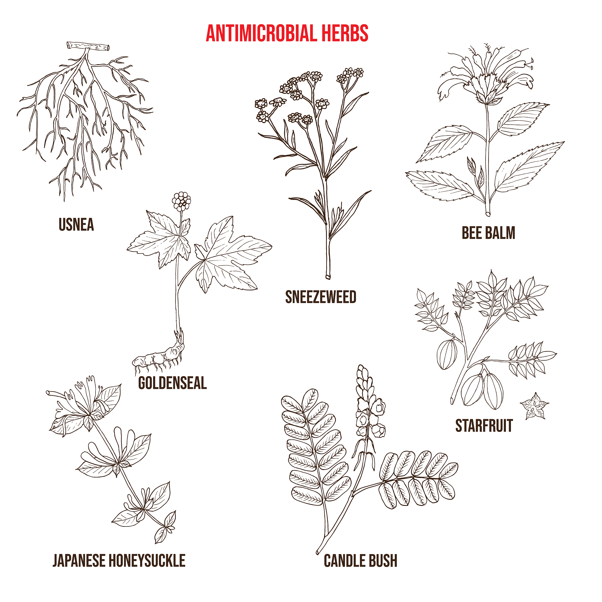 写一份三千字的冬凌草育种计划书使用两种及以上的育种方法并详述其过程估计预算和经费