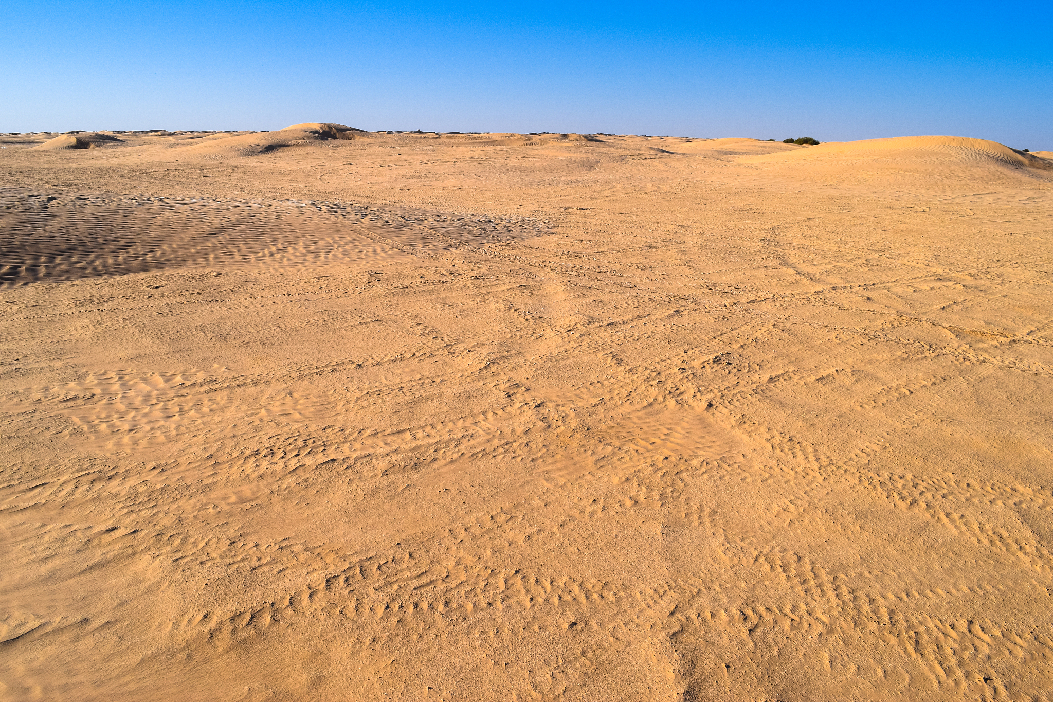 sahara desert golden sands and dunes. the greatest desert