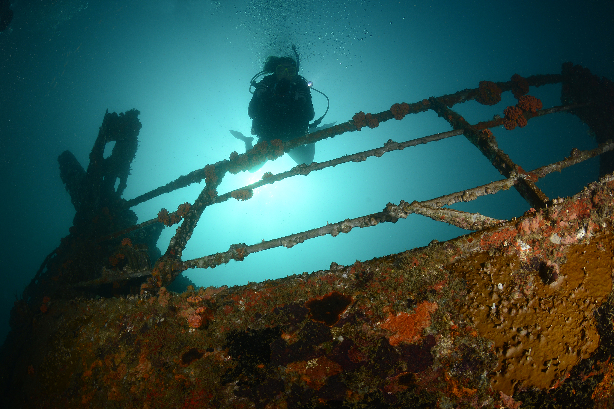 wreck diving.