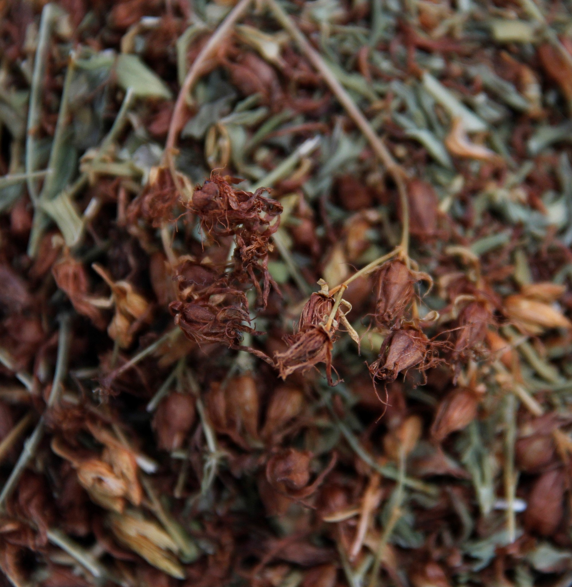 土鳖虫药理作用：抗菌、抗炎、抗氧化、抗肿瘤