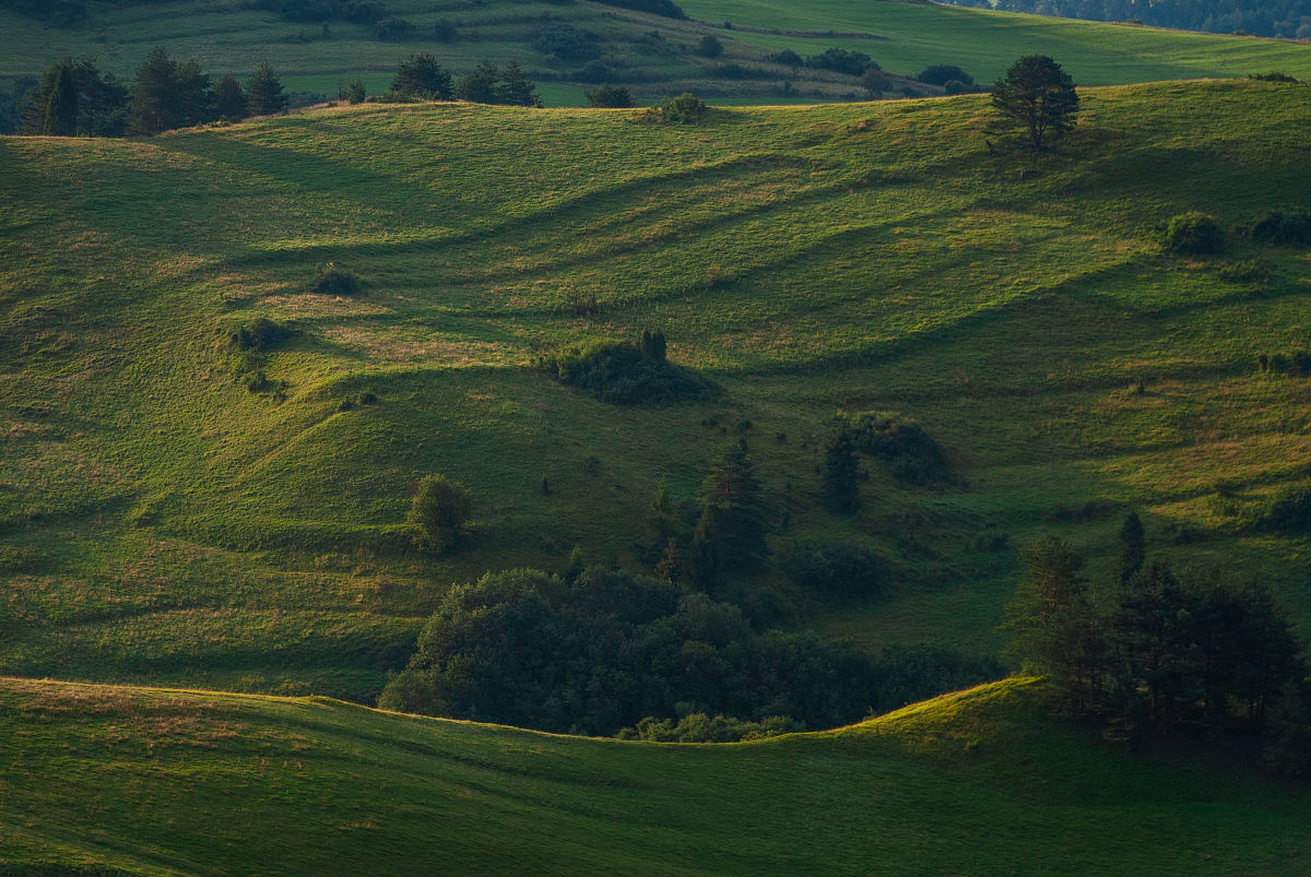 绿色丘陵,pieniny,波兰