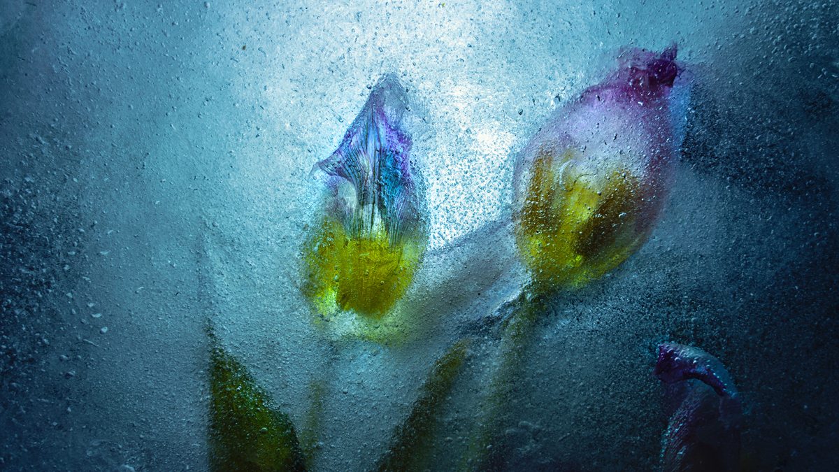 如何发掘你的摄影风格：打造独一无二的视觉语言