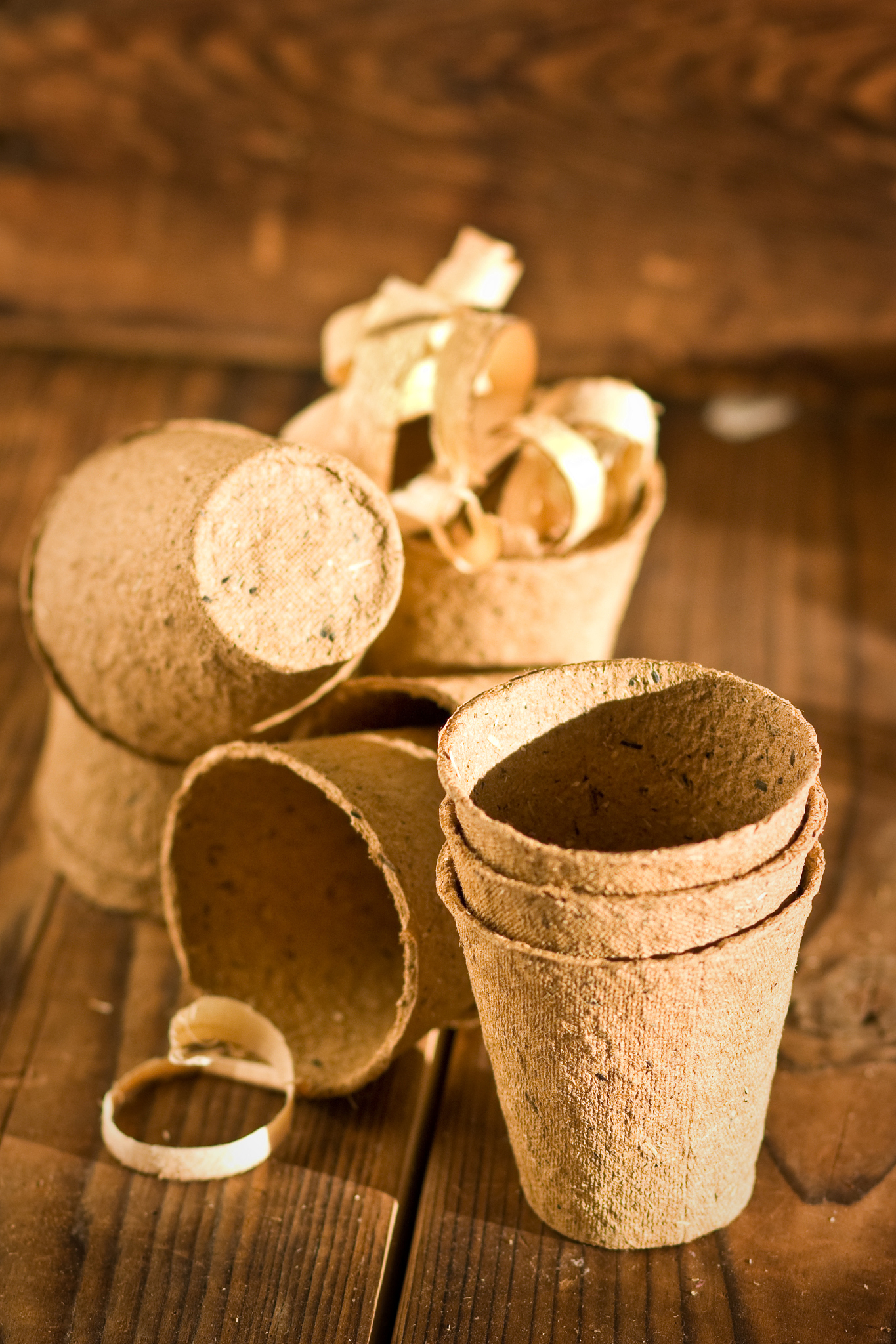 朔州职业技术学院食品生物技术专业如何好学吗