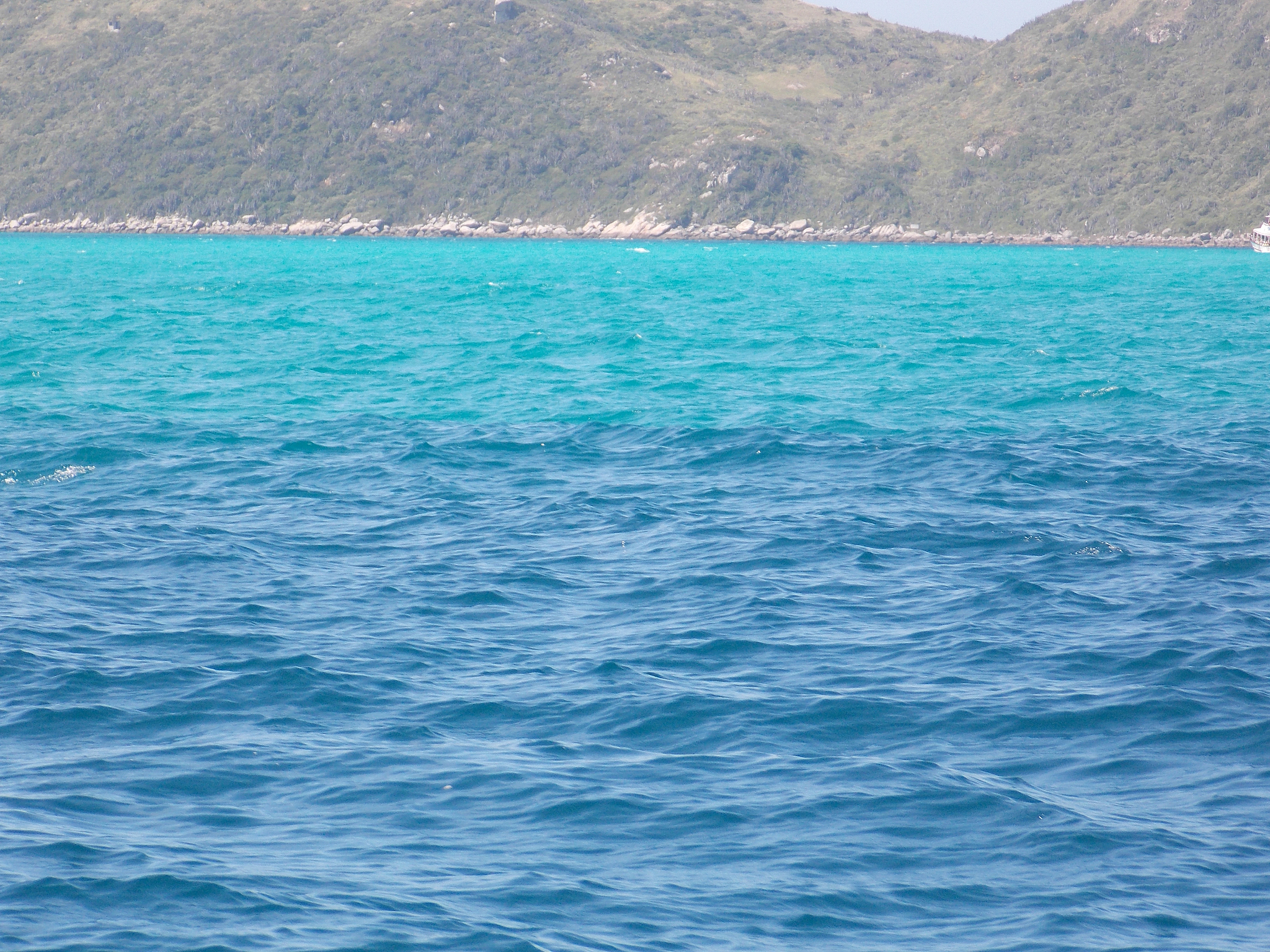 用My favorite color is blue续写一篇中国小学生能看懂的英文作文