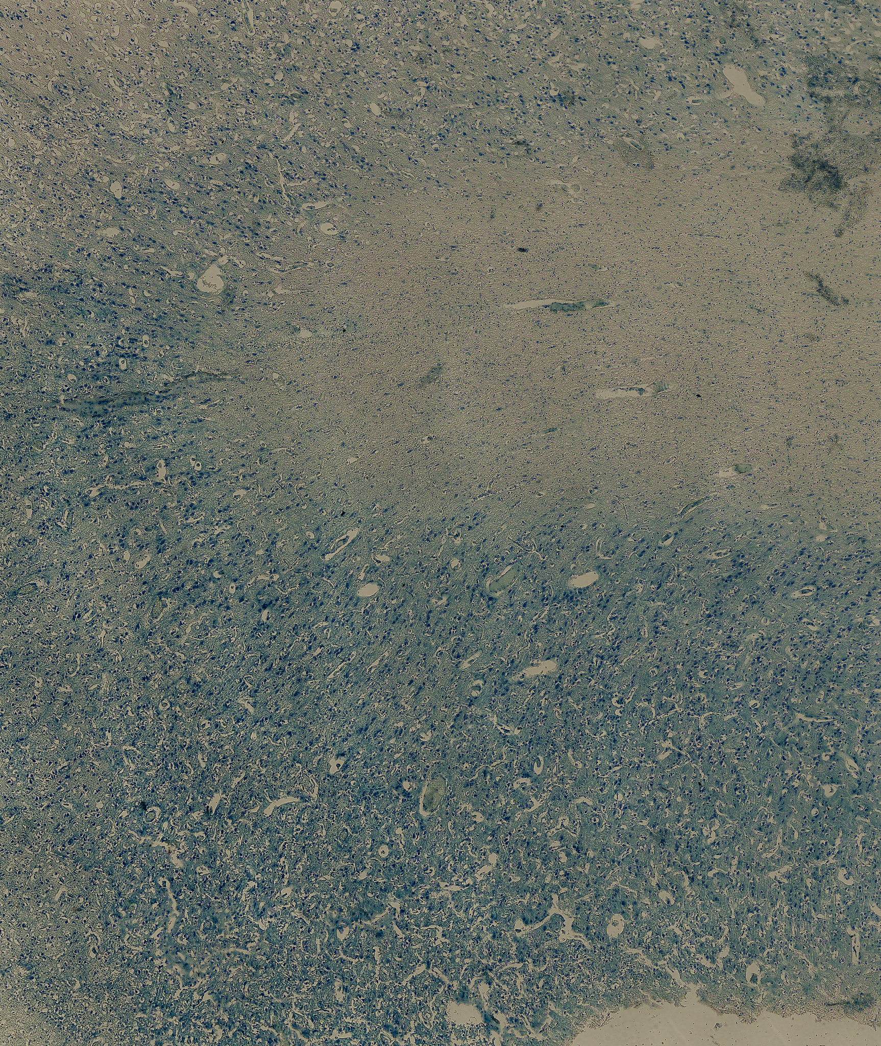 重庆卫生学校临床医学专业：培养医学专业人才