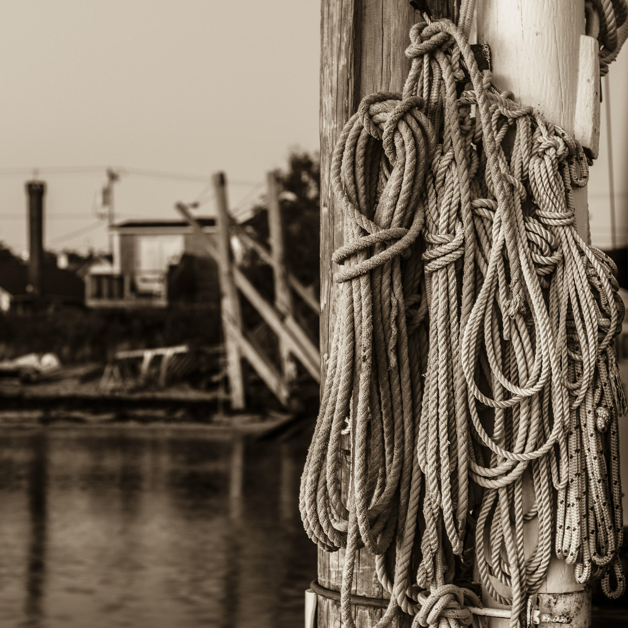 大海中心有座小岛岛上有一群美女正在阅读红楼梦。