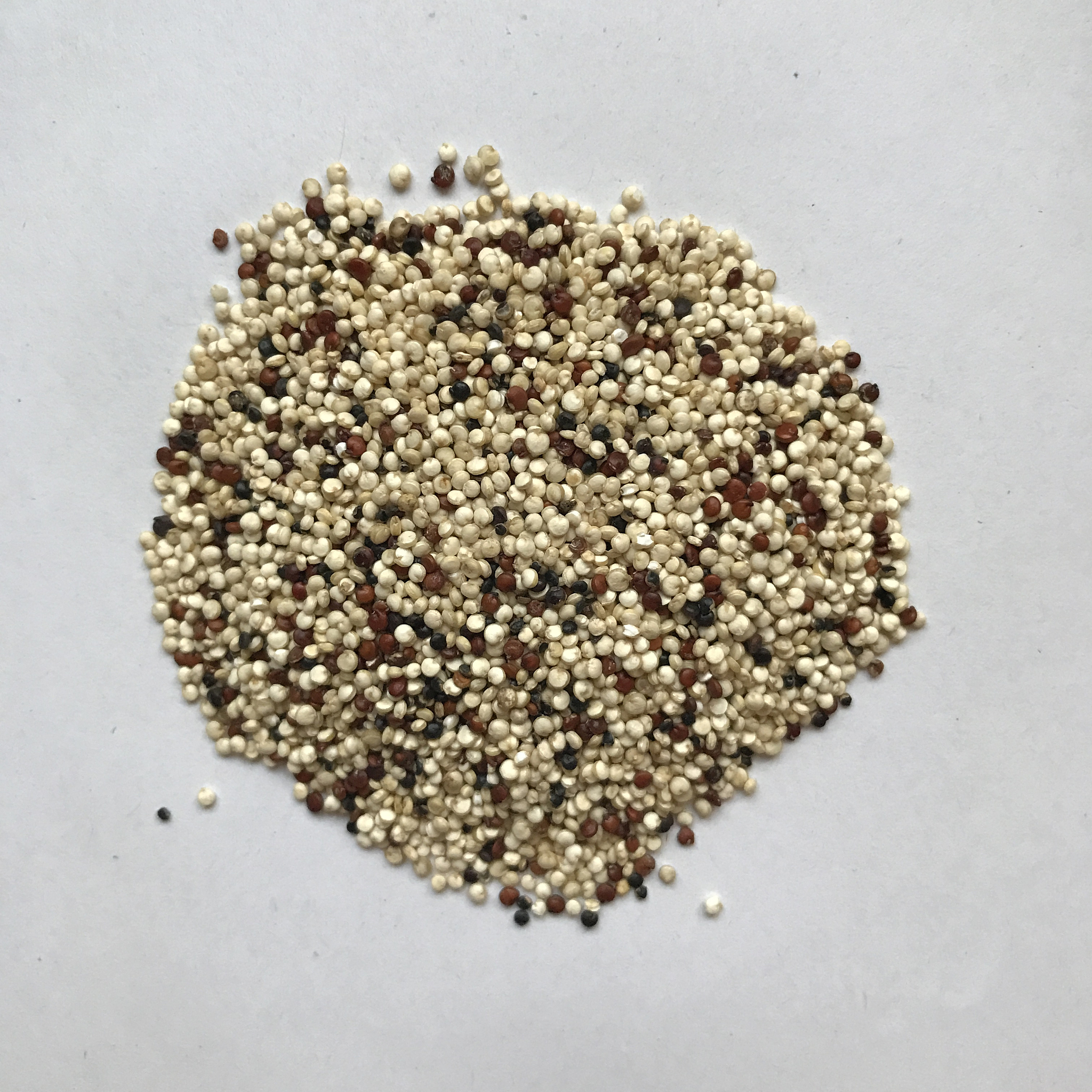 效结团膨润土猫砂：9.9元起，20斤超值装，7天不铲挑战！