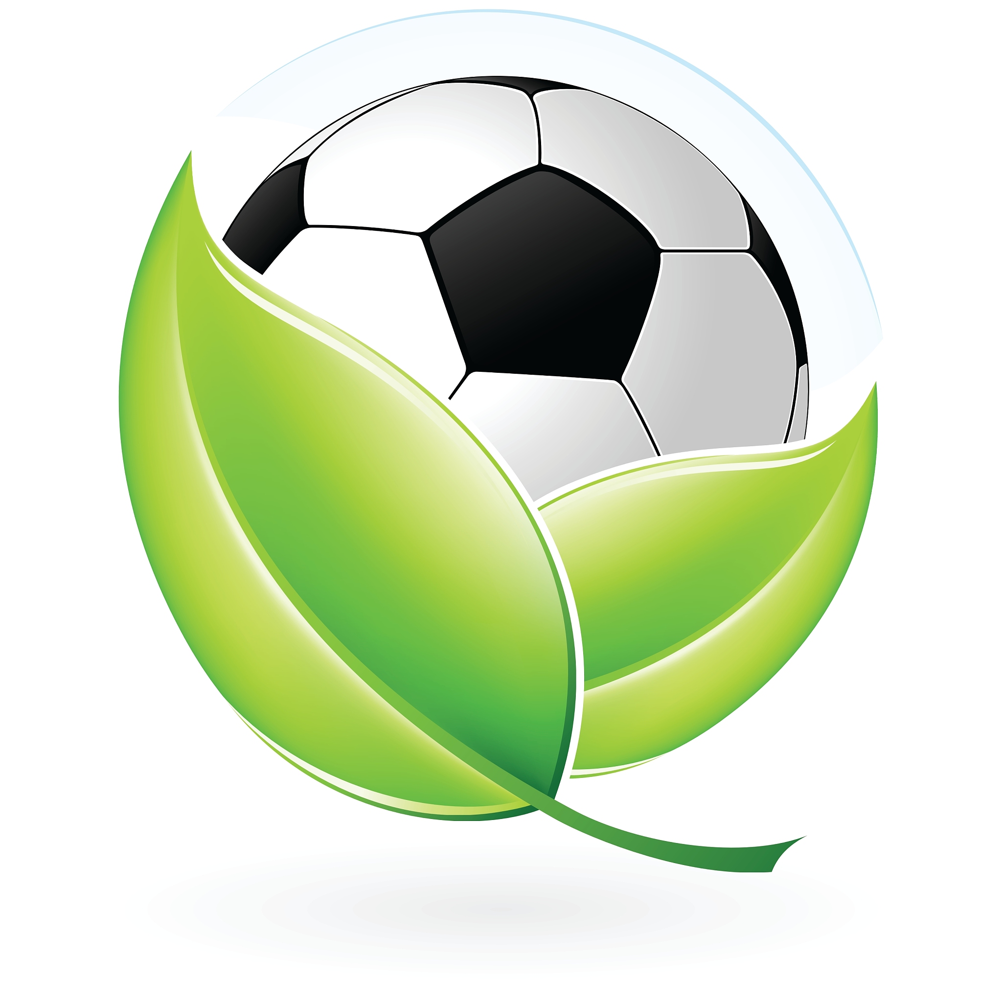 football icon