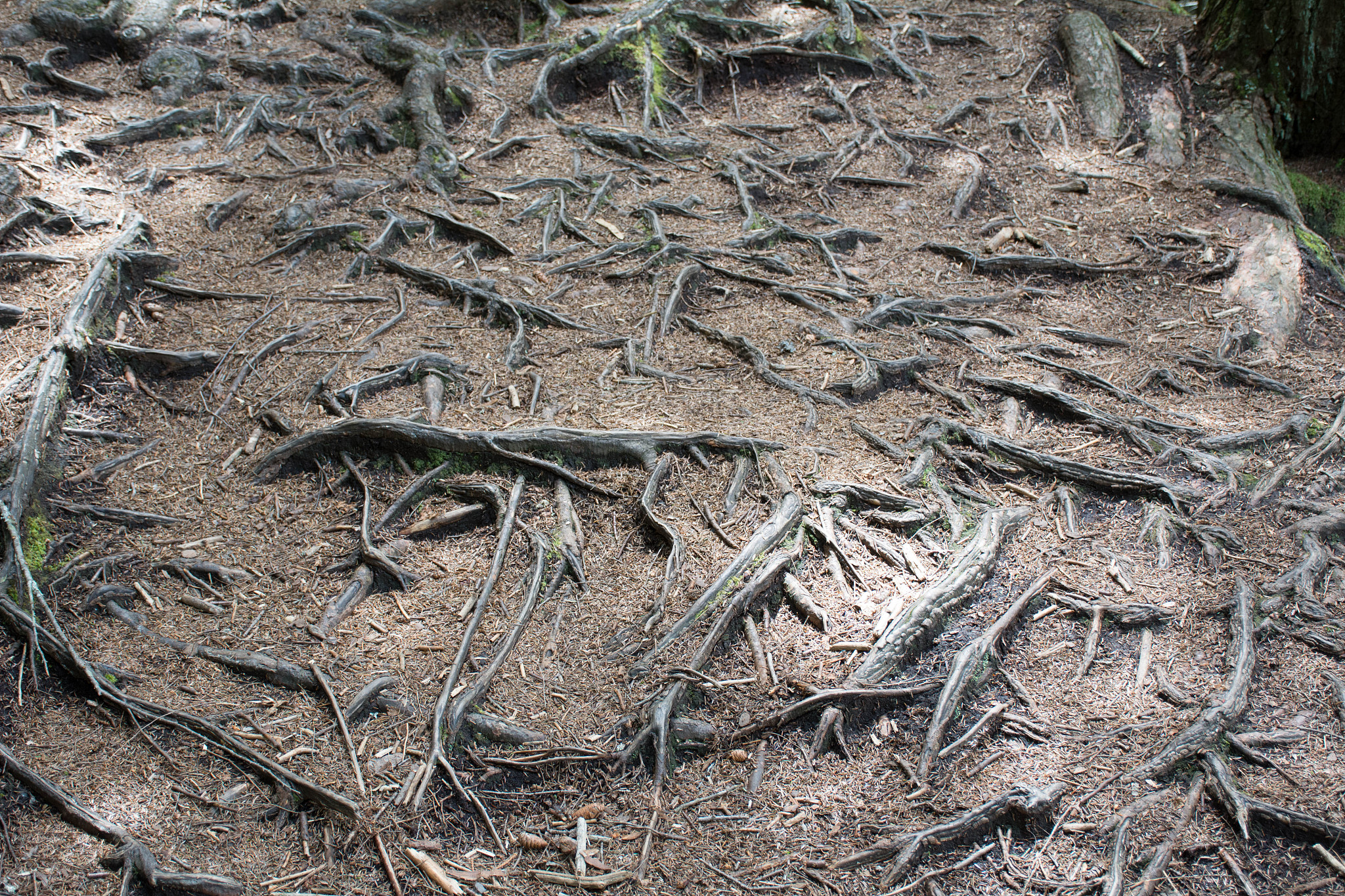 沟壑密度：定义、计算方法及应用