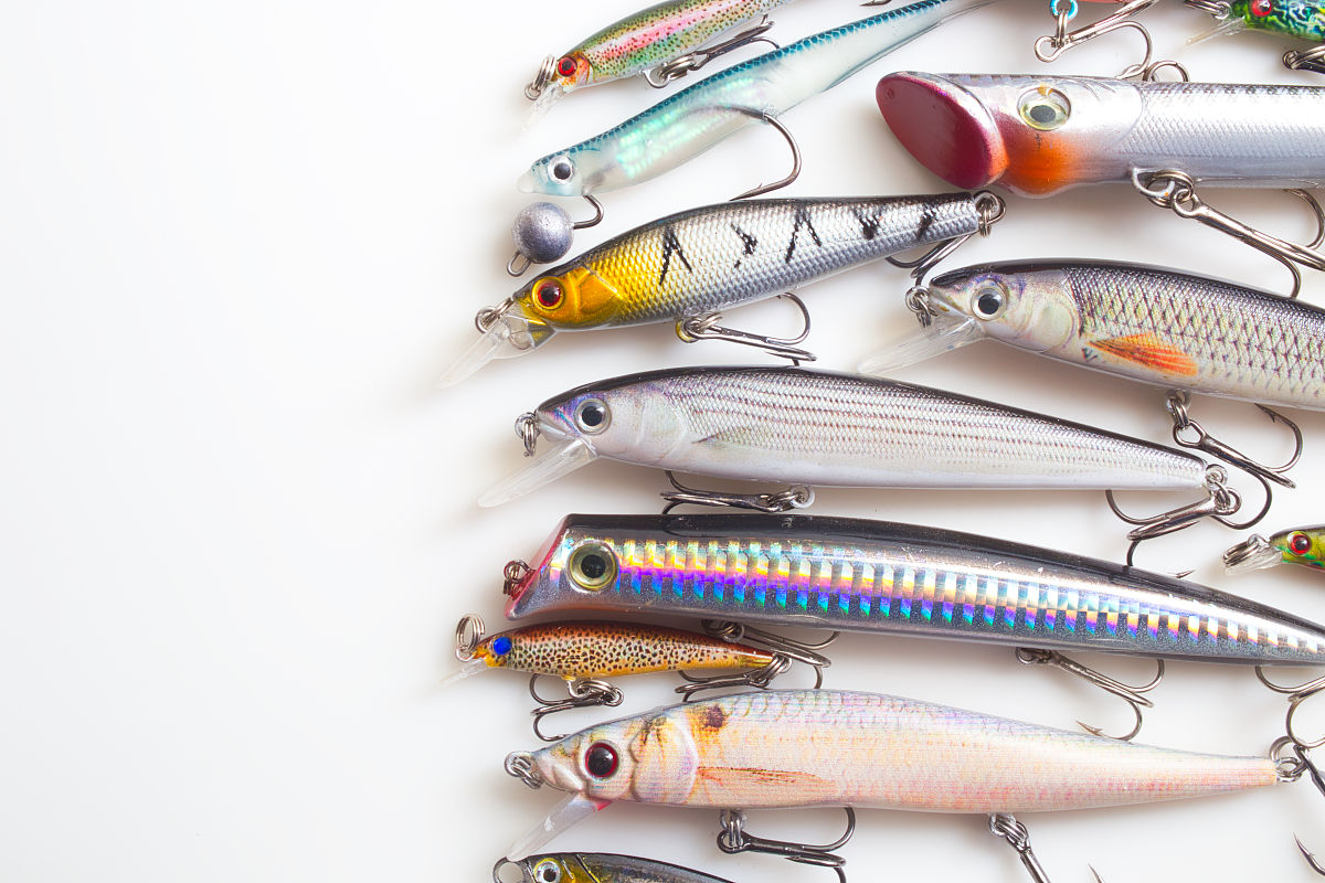 鱼饵配方分析如何得到