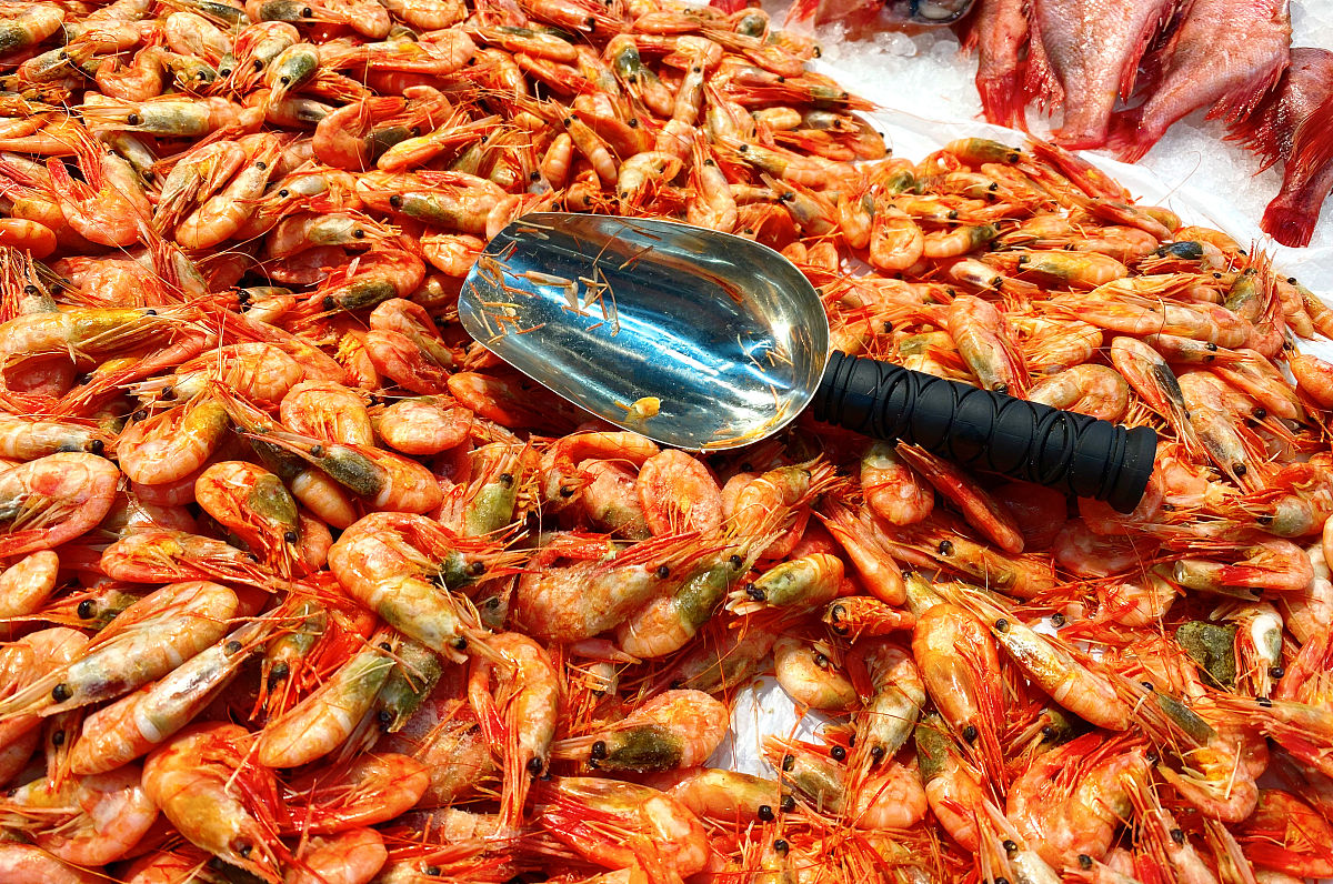 云养鲜，线下享美食