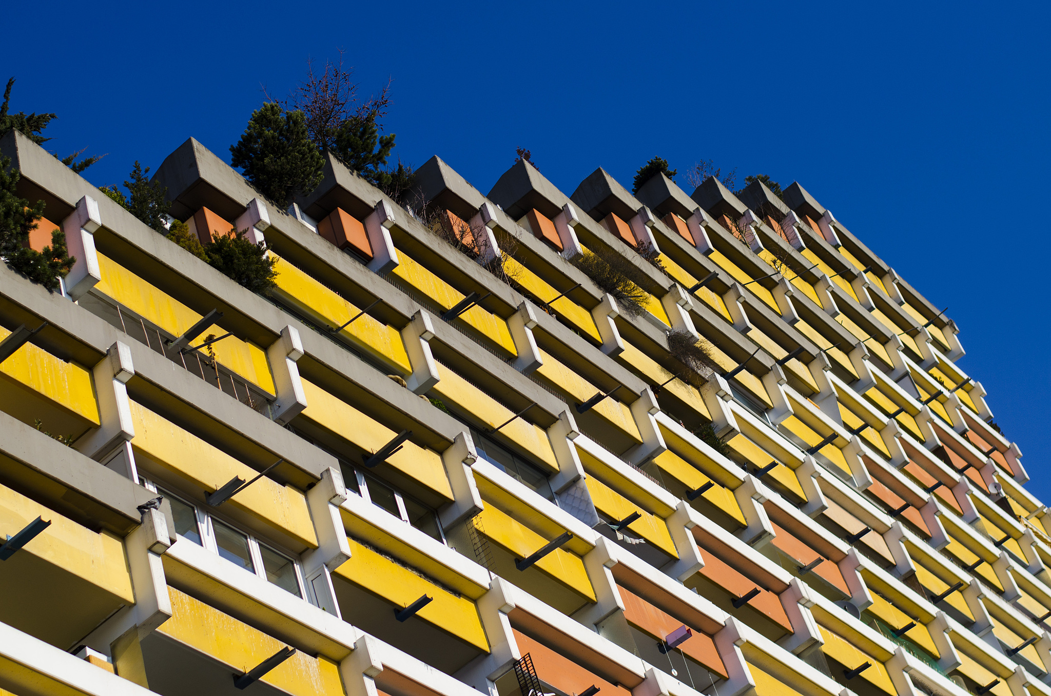 colourful apartment block