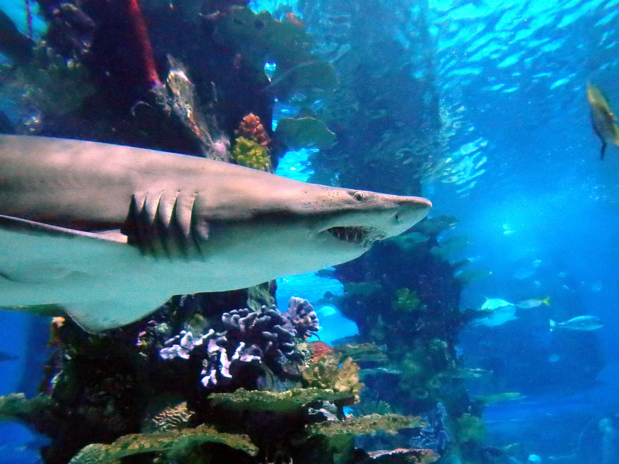 2020日照市海洋工程学校招生专业及相关信息