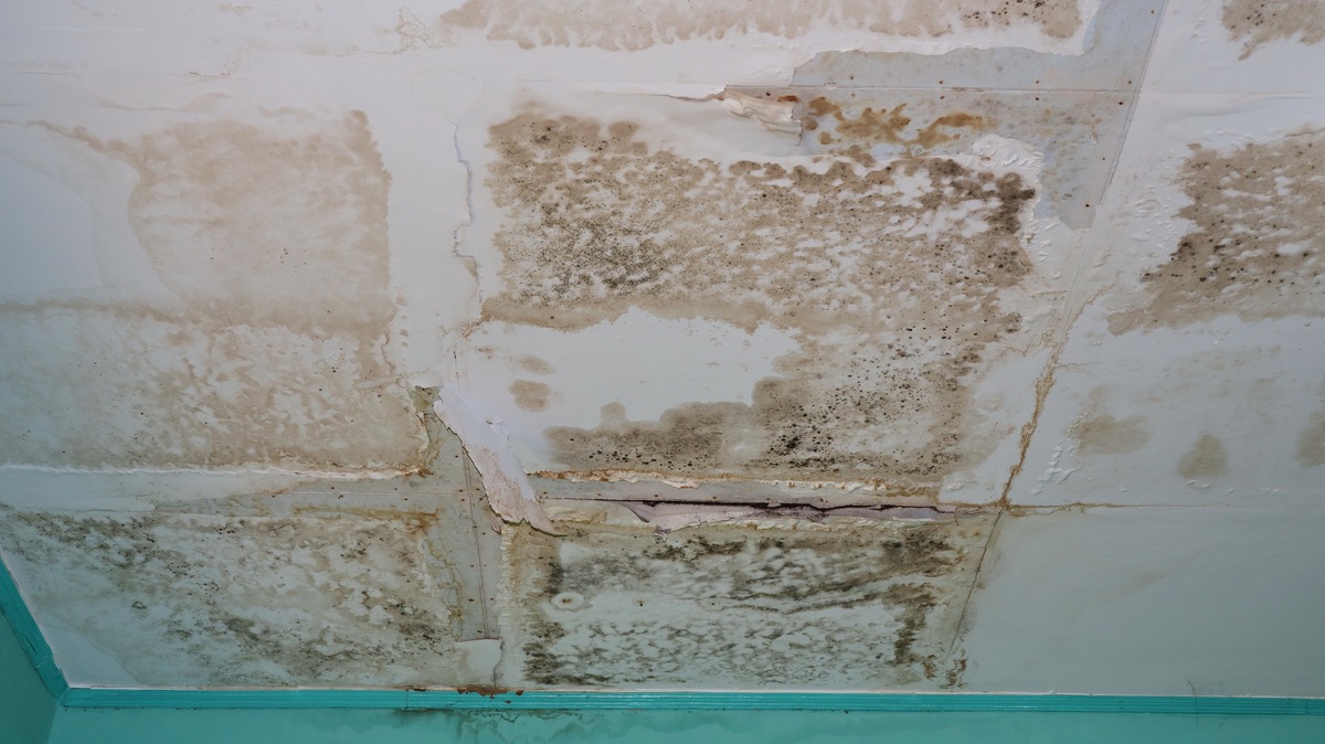 吊顶漏水潮湿怎么修复处理？