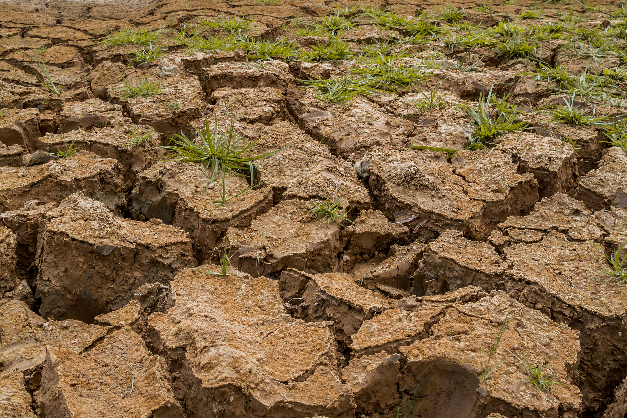 用不同词语写这段话，因此,针对农田土壤中土壤盐碱化与重金属累积状况进行调查和评价,成为国内外研究学者关注的问题。目前国内外有关农田土壤的研究不断增多,其中关于为土壤盐碱化程度、重金属累积特征、空间分异、污染评价、来源解析